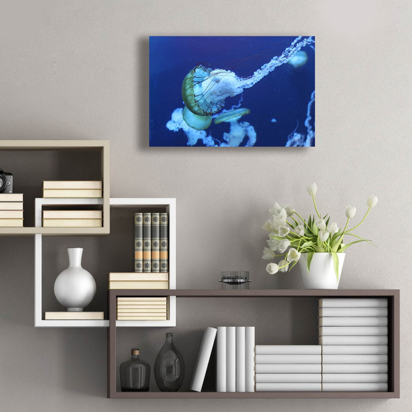 Epic Art 'Jelly' by Photoinc Studio, Acrylic Glass Wall Art,24x16