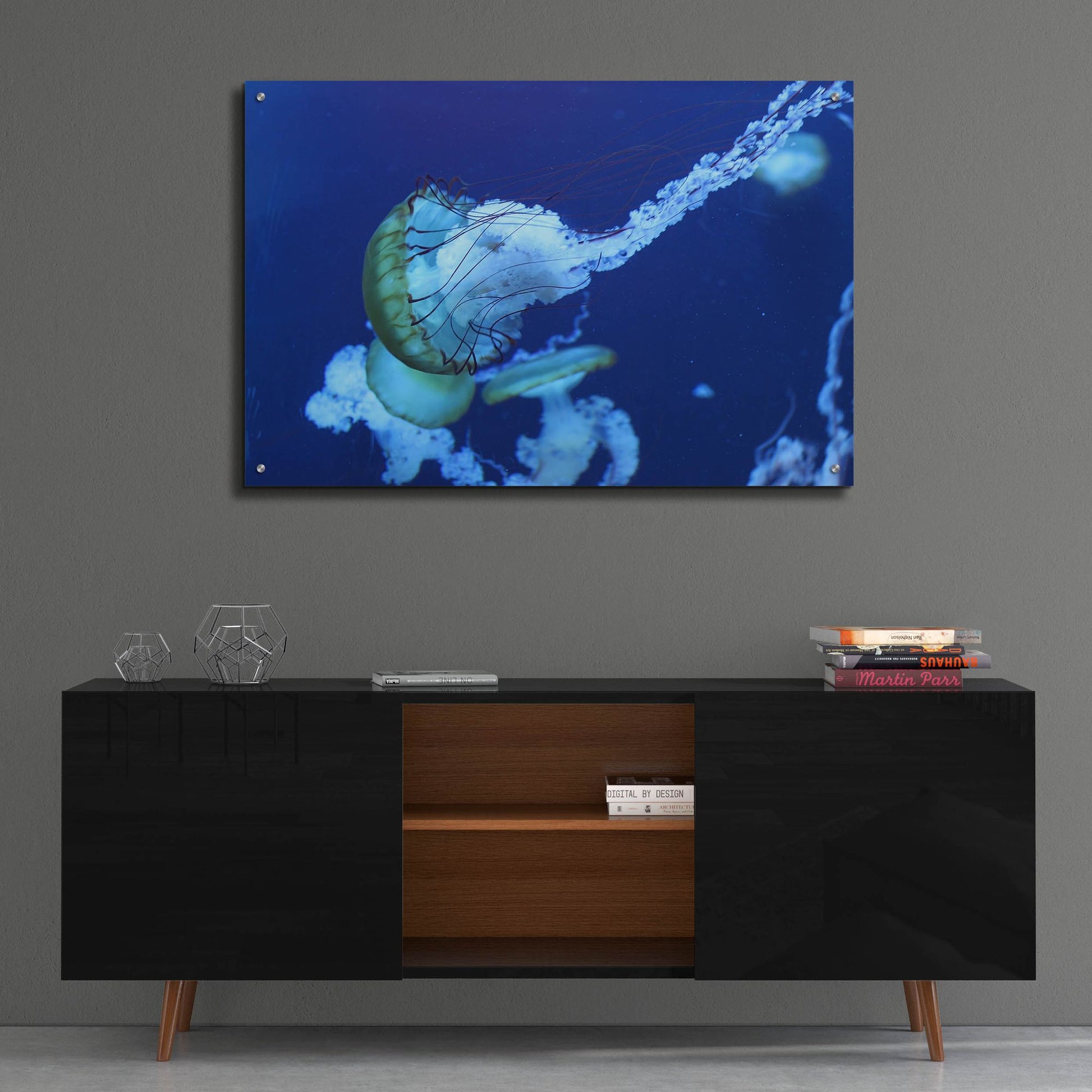 Epic Art 'Jelly' by Photoinc Studio, Acrylic Glass Wall Art,36x24