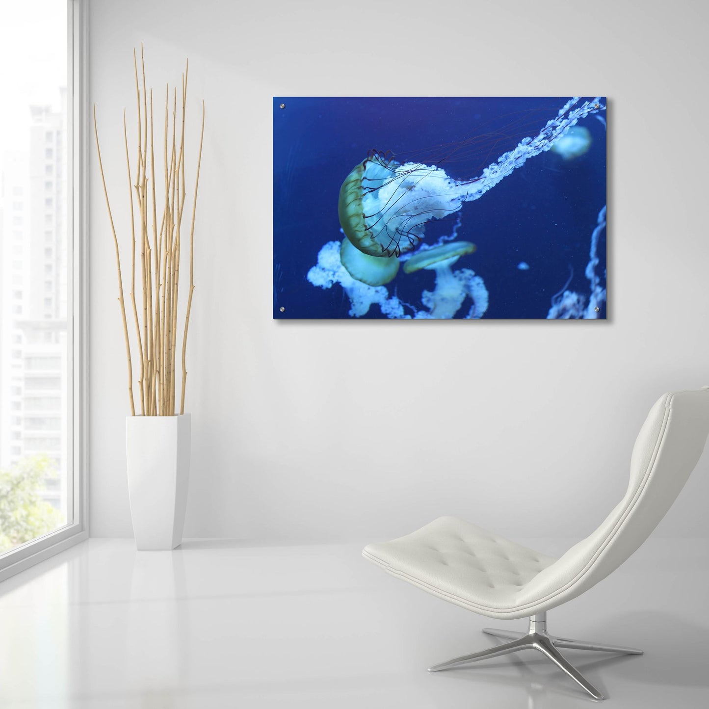 Epic Art 'Jelly' by Photoinc Studio, Acrylic Glass Wall Art,36x24