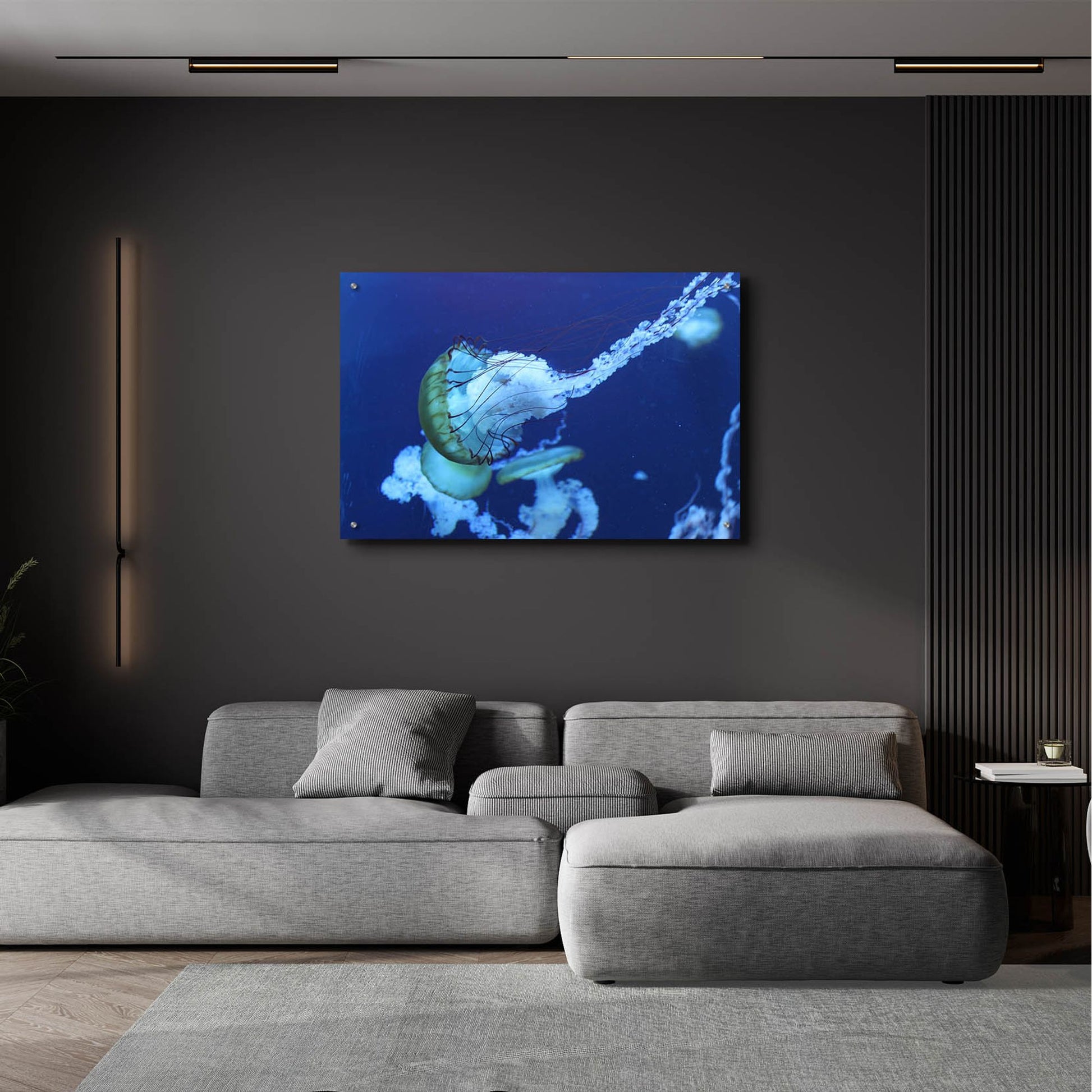 Epic Art 'Jelly' by Photoinc Studio, Acrylic Glass Wall Art,36x24