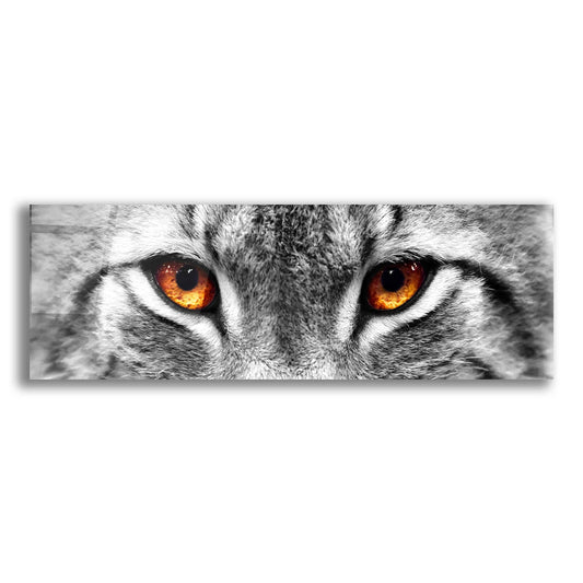 Epic Art 'Lynx 2' by Photoinc Studio, Acrylic Glass Wall Art