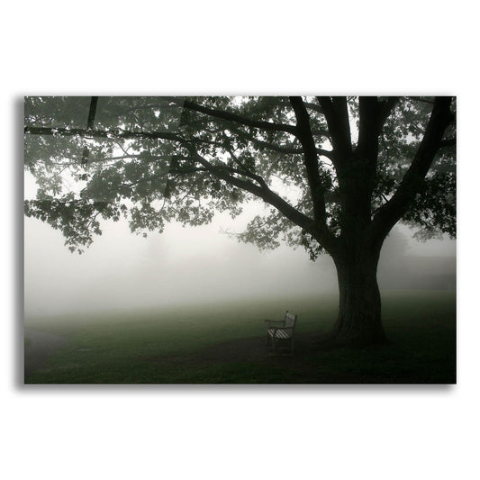Epic Art 'Misty Bench' by Photoinc Studio, Acrylic Glass Wall Art