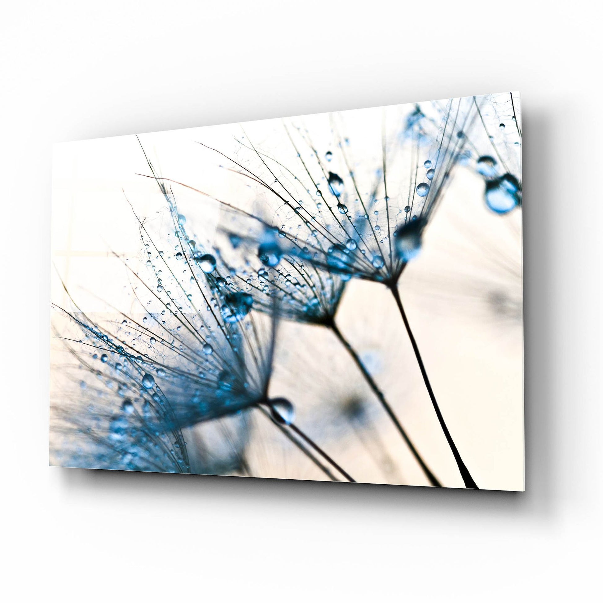 Epic Art 'Mystic Blue' by Photoinc Studio, Acrylic Glass Wall Art,16x12