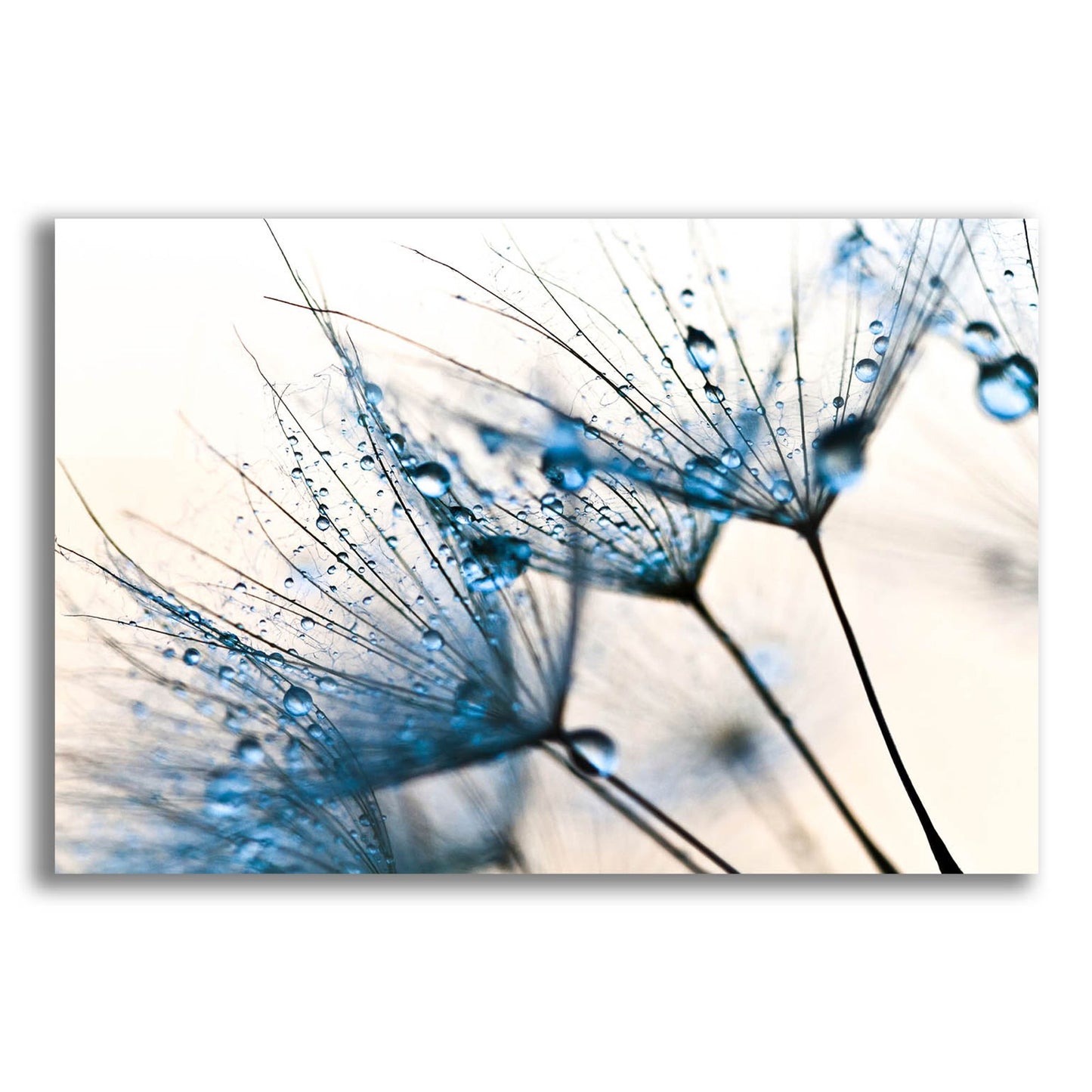 Epic Art 'Mystic Blue' by Photoinc Studio, Acrylic Glass Wall Art,24x16