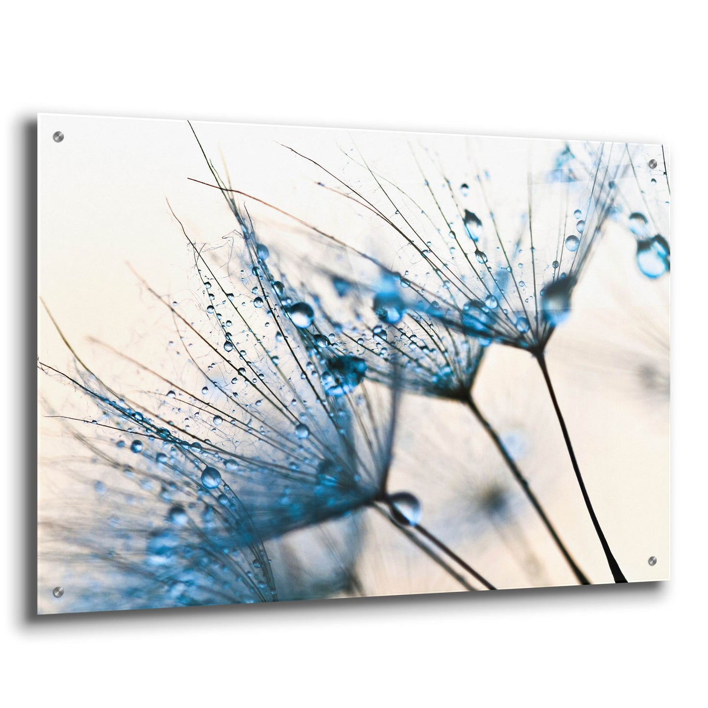 Epic Art 'Mystic Blue' by Photoinc Studio, Acrylic Glass Wall Art,36x24