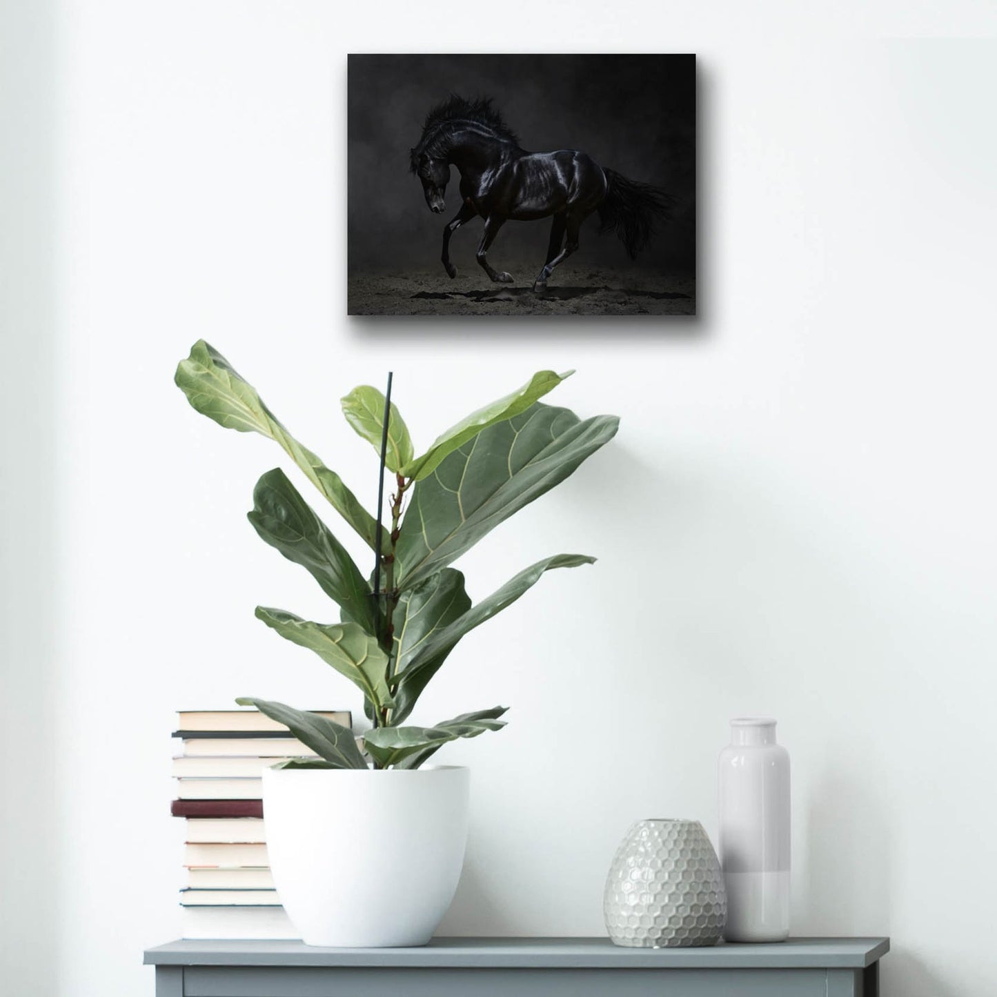 Epic Art 'Onyx' by Photoinc Studio, Acrylic Glass Wall Art,16x12