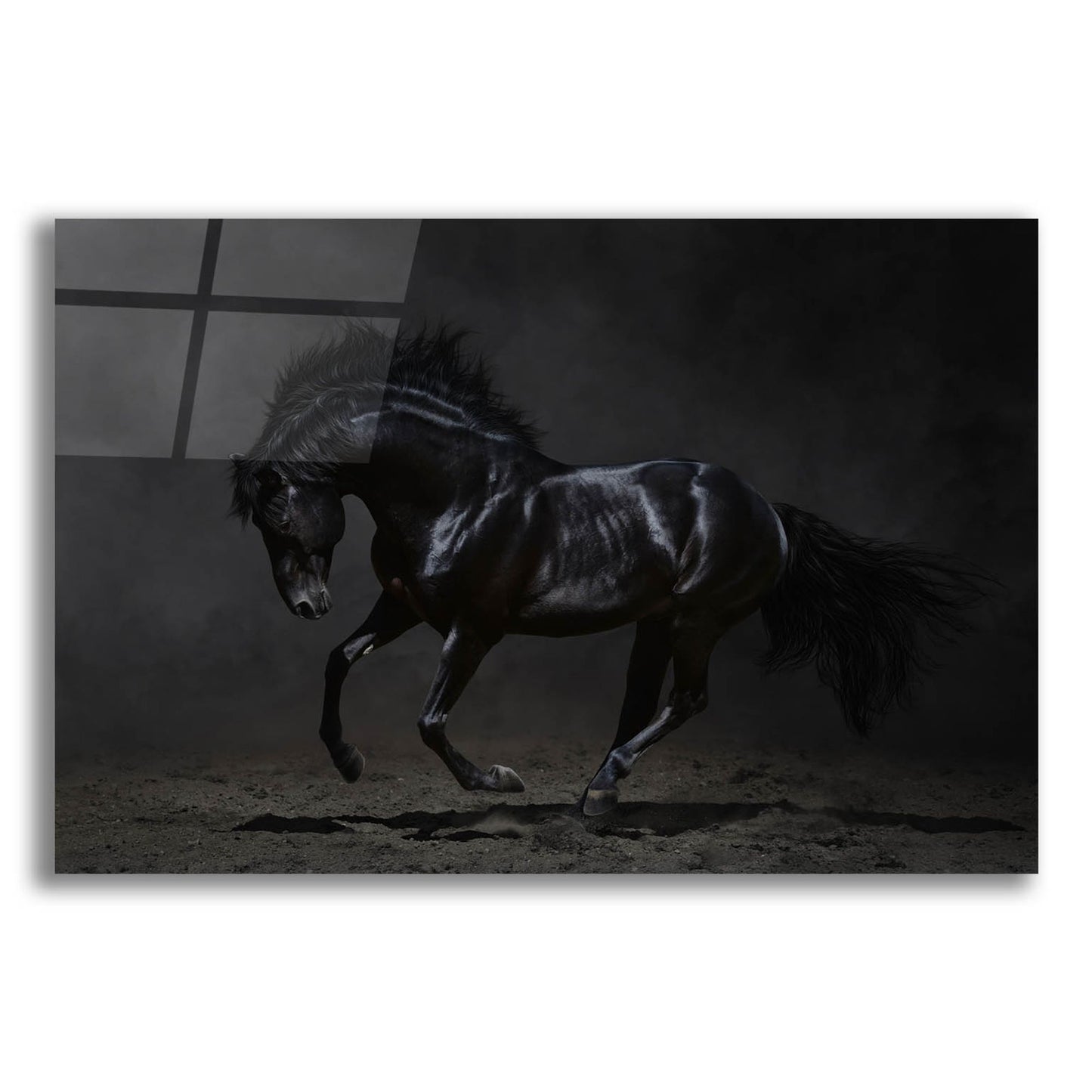 Epic Art 'Onyx' by Photoinc Studio, Acrylic Glass Wall Art,24x16