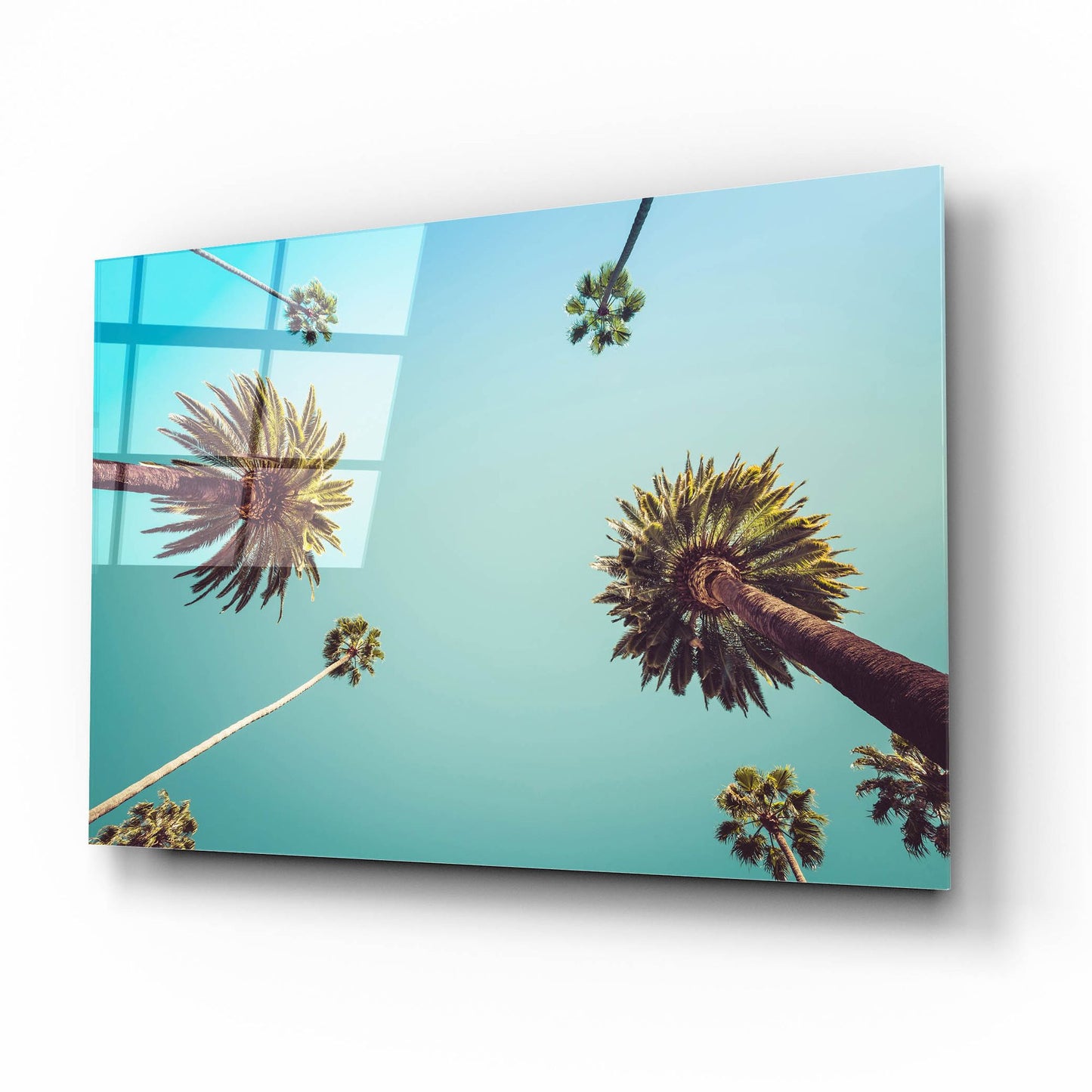 Epic Art 'Palms' by Photoinc Studio, Acrylic Glass Wall Art,16x12