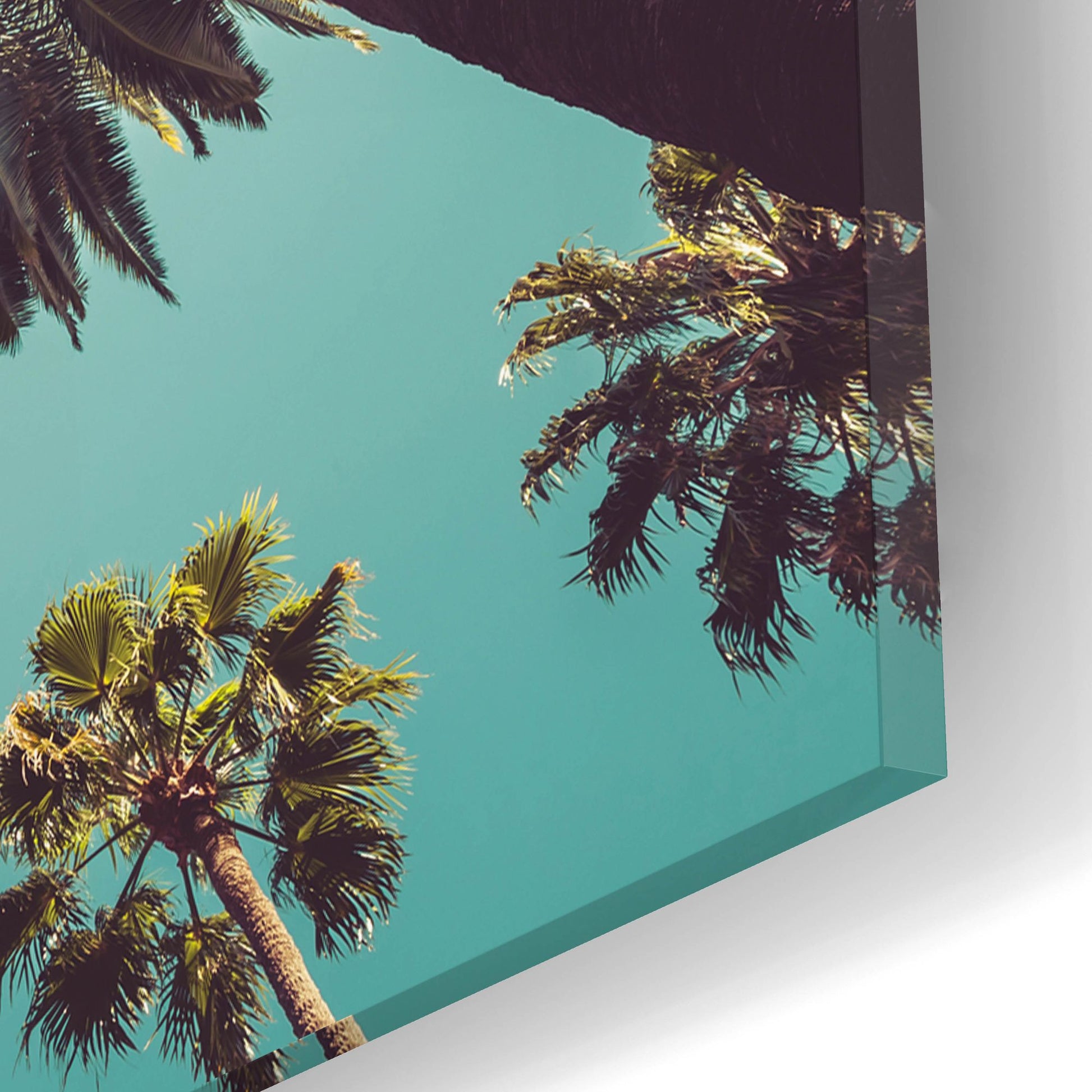 Epic Art 'Palms' by Photoinc Studio, Acrylic Glass Wall Art,16x12