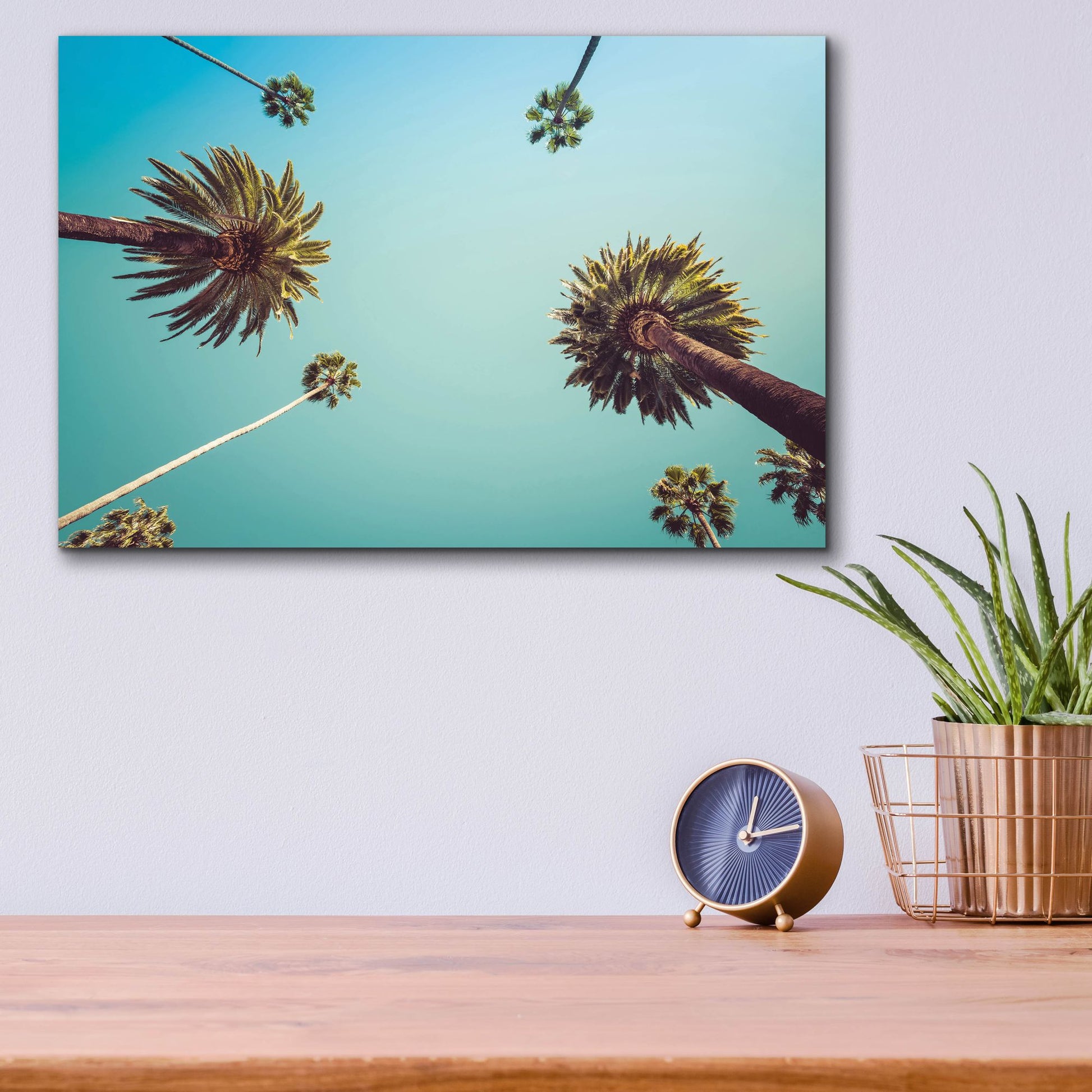 Epic Art 'Palms' by Photoinc Studio, Acrylic Glass Wall Art,16x12