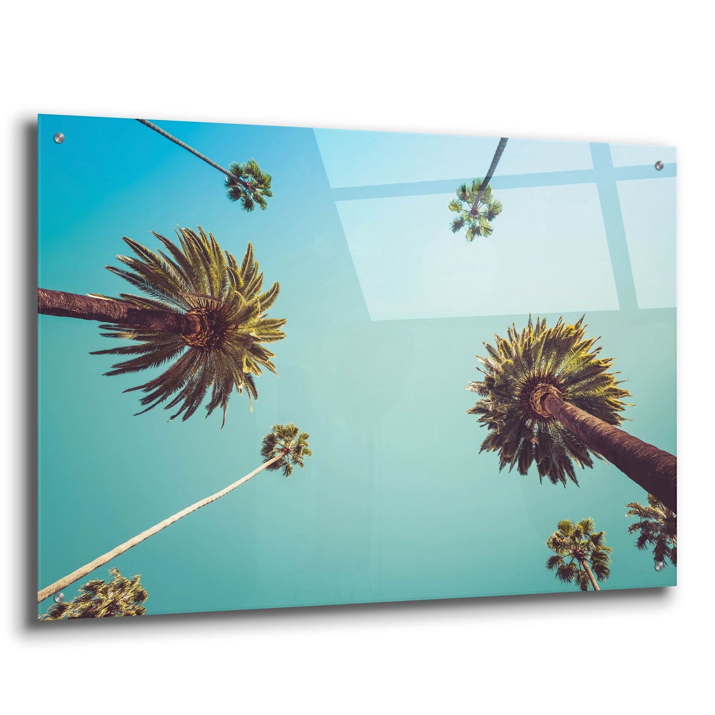 Epic Art 'Palms' by Photoinc Studio, Acrylic Glass Wall Art,36x24