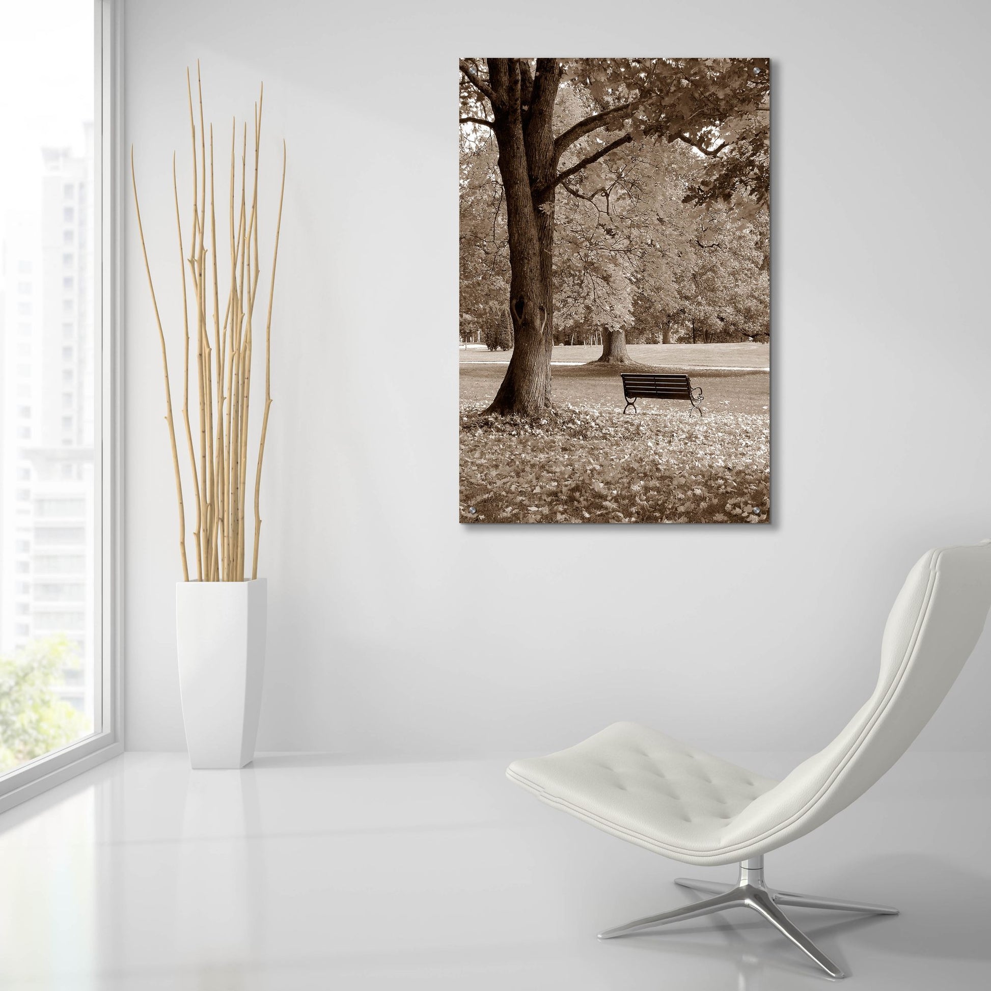 Epic Art 'Park View' by Photoinc Studio, Acrylic Glass Wall Art,24x36