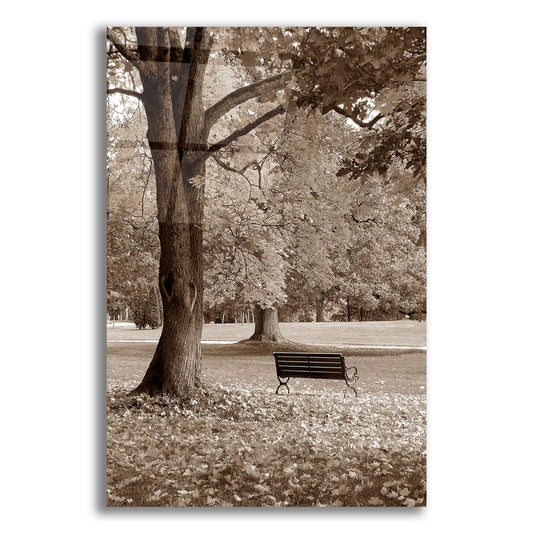 Epic Art 'Park View' by Photoinc Studio, Acrylic Glass Wall Art