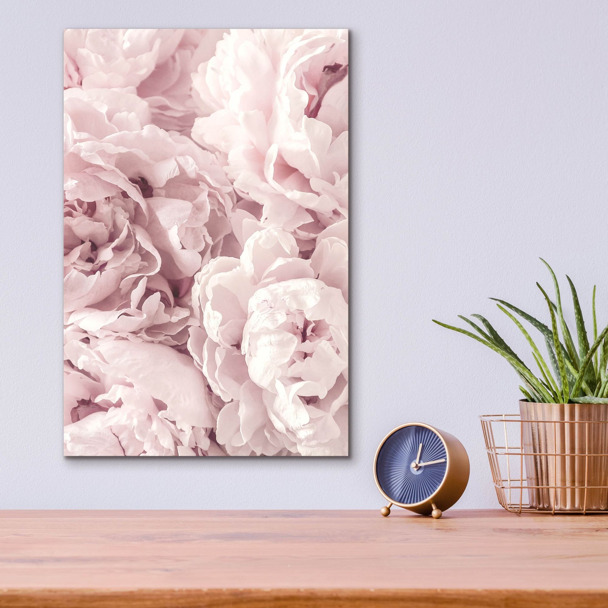 Epic Art 'Peony' by Photoinc Studio, Acrylic Glass Wall Art,12x16