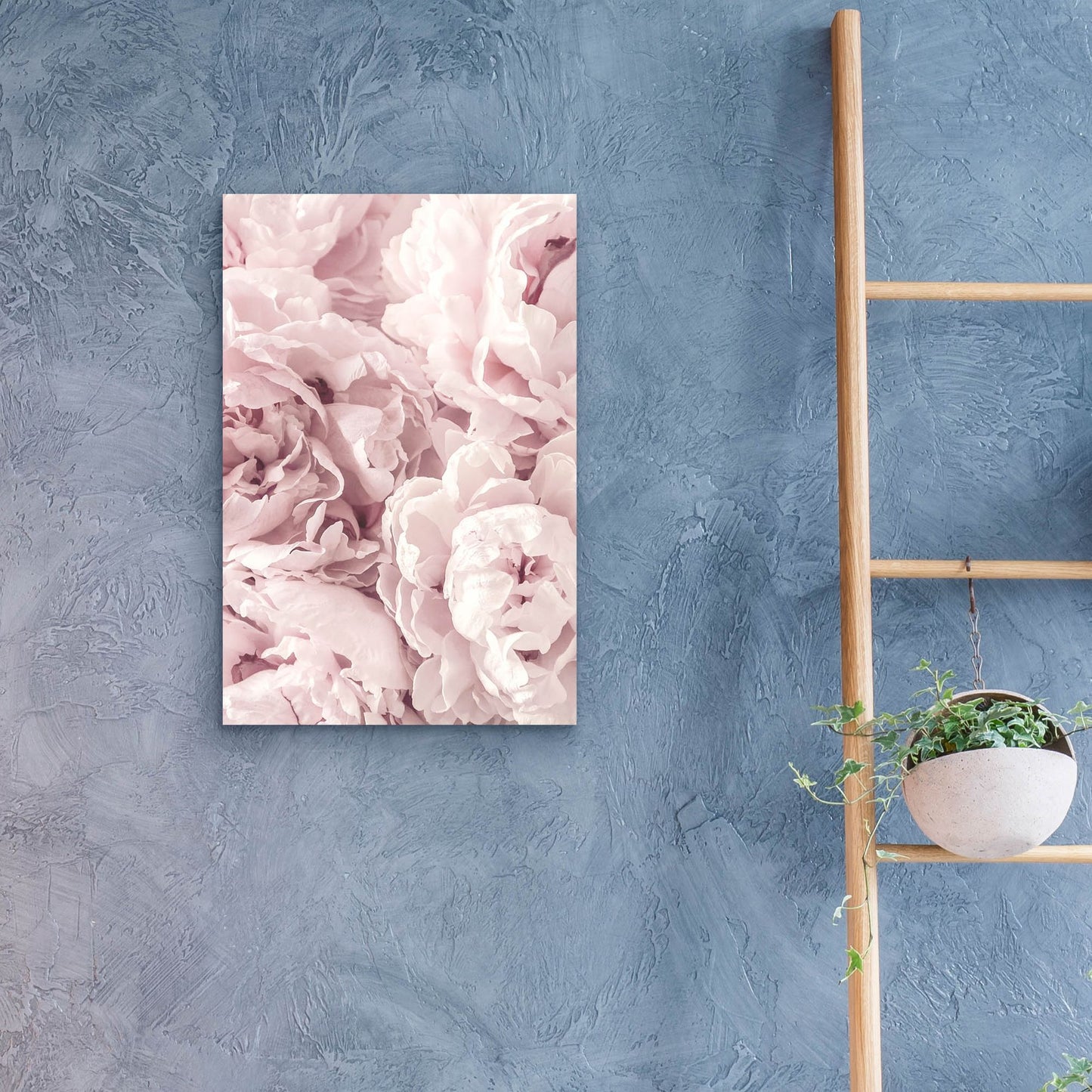 Epic Art 'Peony' by Photoinc Studio, Acrylic Glass Wall Art,16x24