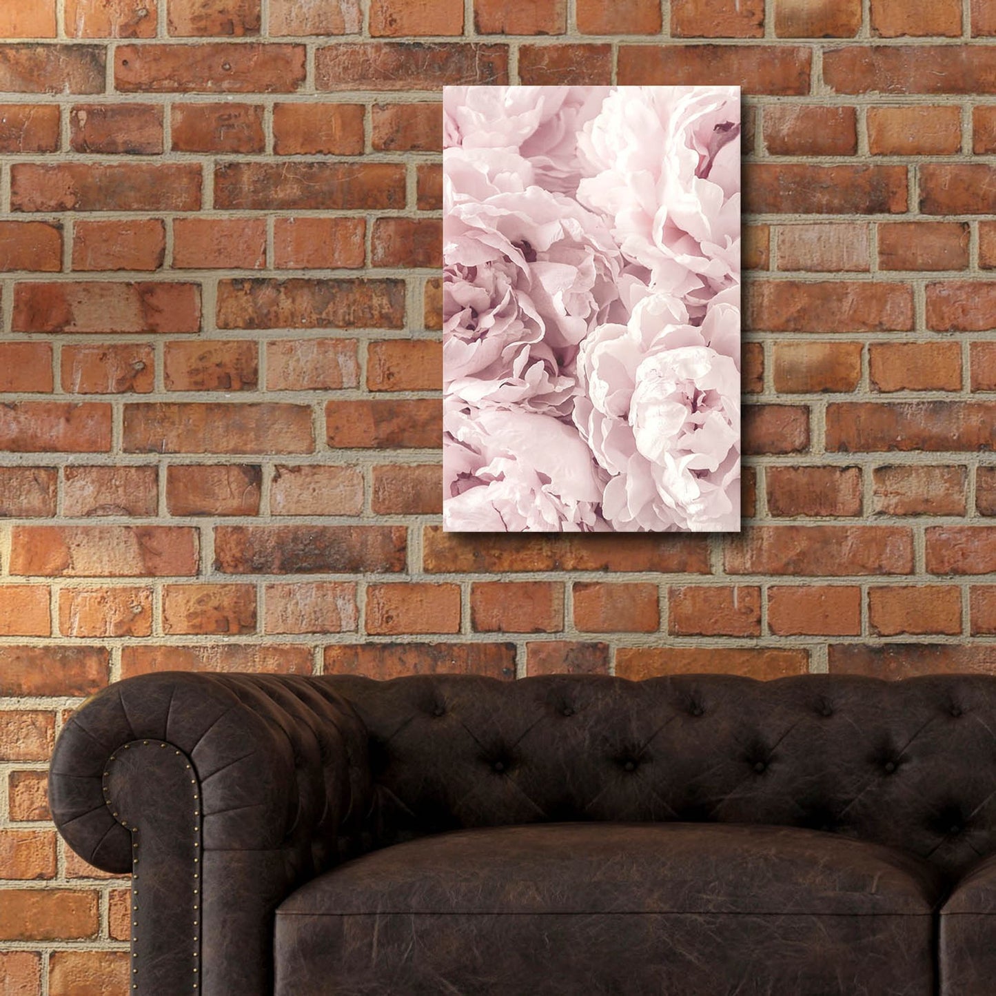 Epic Art 'Peony' by Photoinc Studio, Acrylic Glass Wall Art,16x24