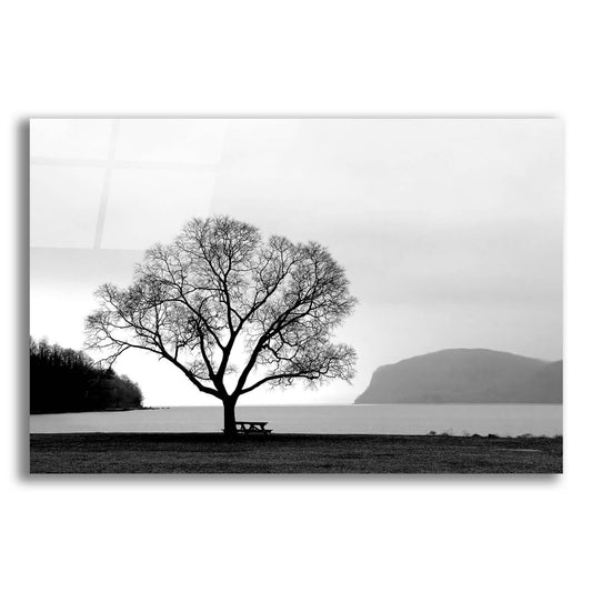 Epic Art 'Picnic Tree' by Photoinc Studio, Acrylic Glass Wall Art