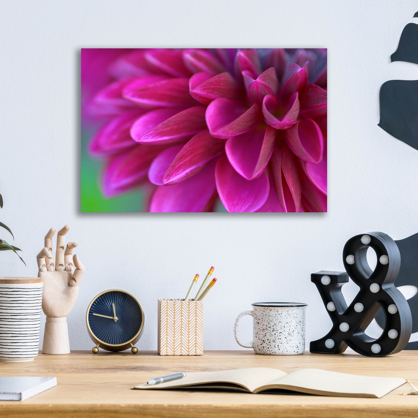 Epic Art 'Pink Chrysanthemum' by Photoinc Studio, Acrylic Glass Wall Art,16x12