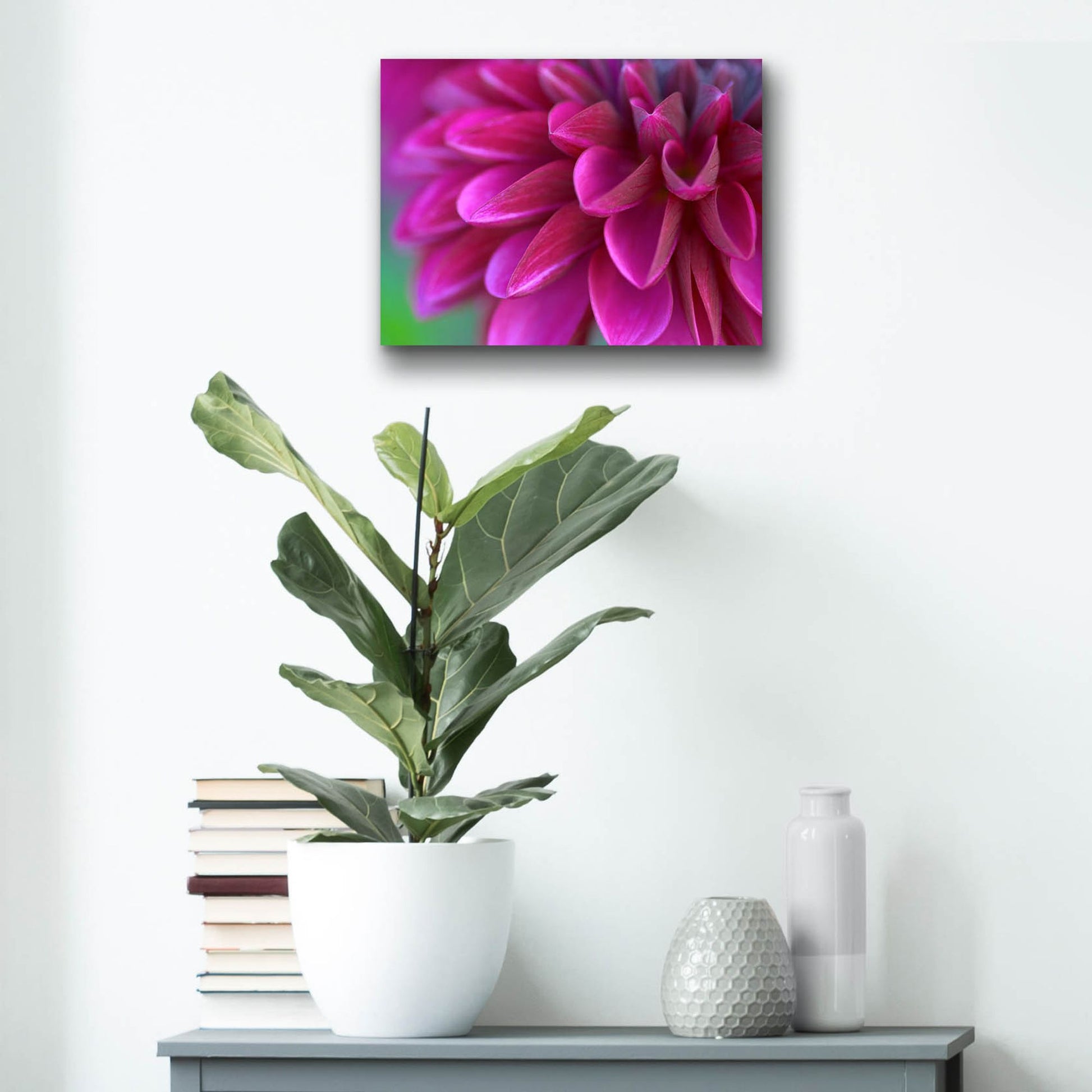 Epic Art 'Pink Chrysanthemum' by Photoinc Studio, Acrylic Glass Wall Art,16x12