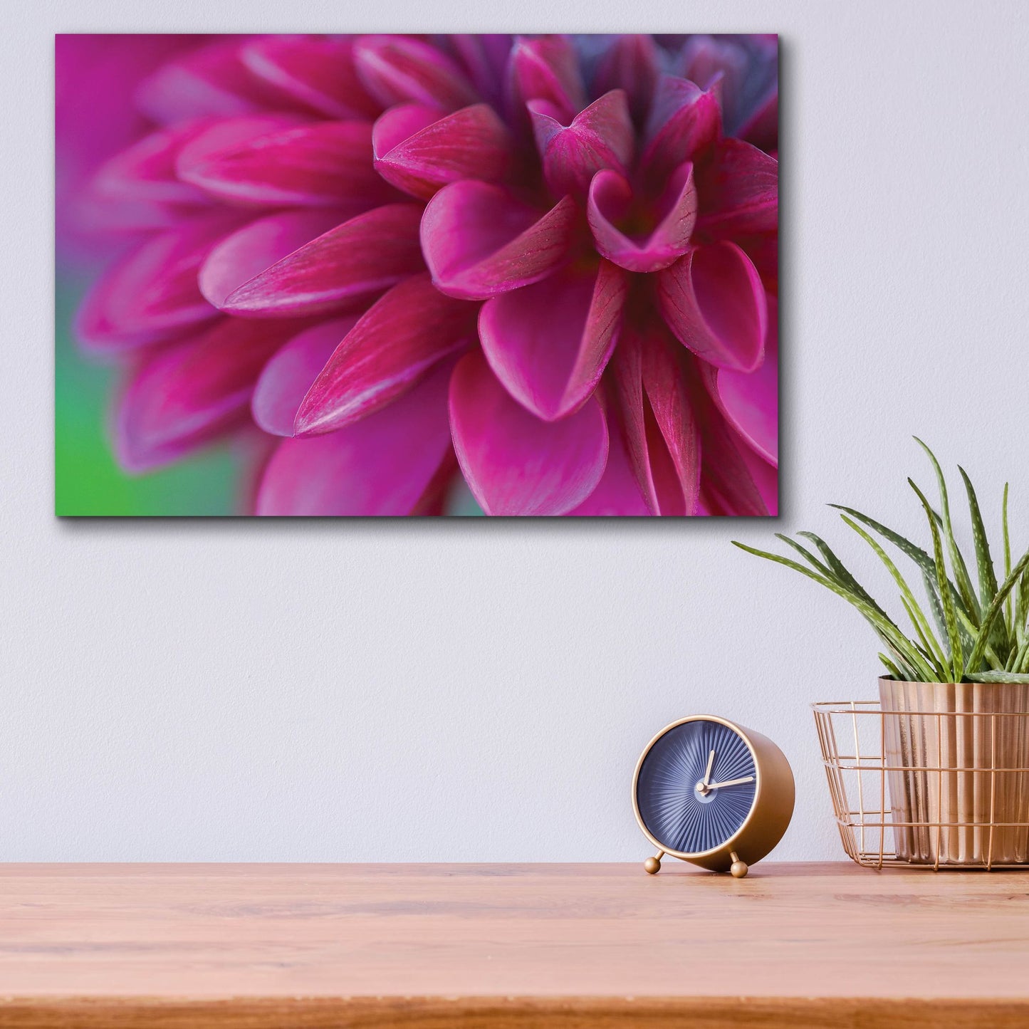 Epic Art 'Pink Chrysanthemum' by Photoinc Studio, Acrylic Glass Wall Art,16x12