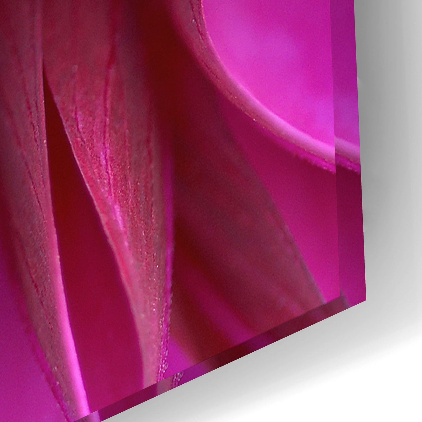 Epic Art 'Pink Chrysanthemum' by Photoinc Studio, Acrylic Glass Wall Art,24x16