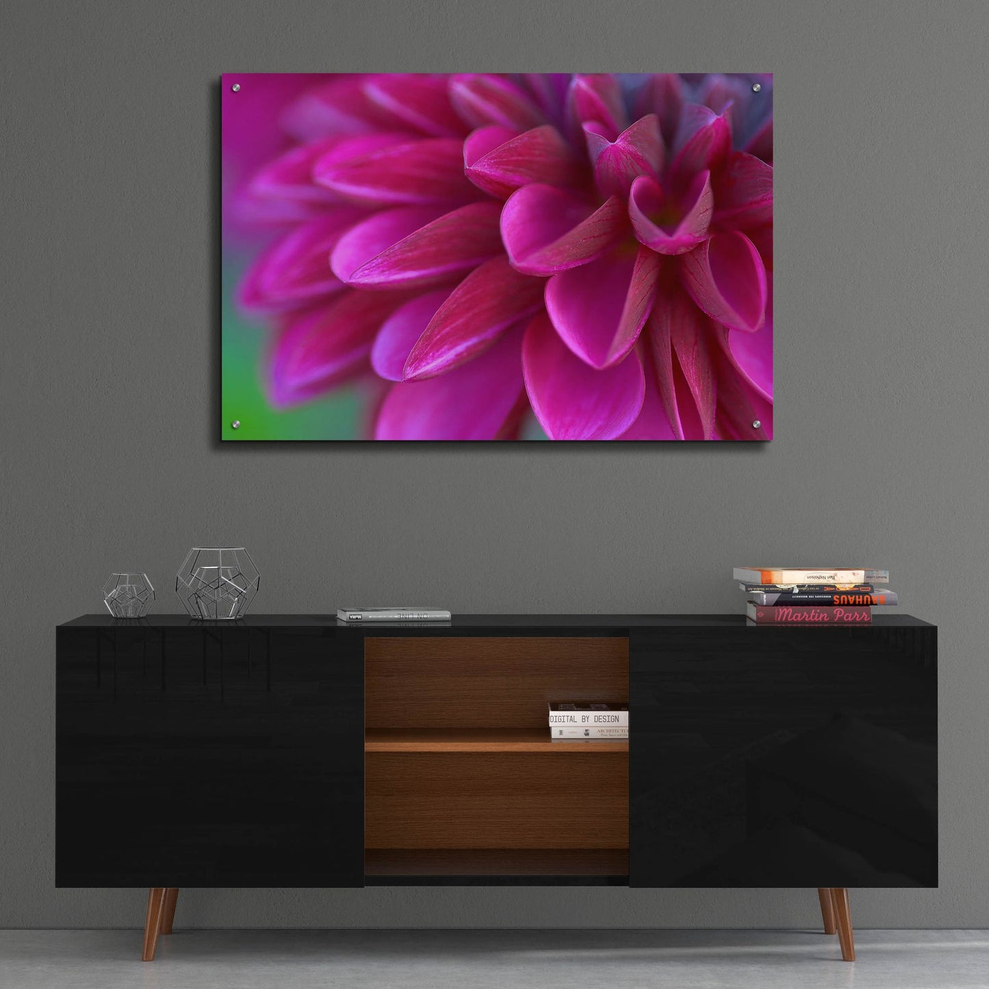 Epic Art 'Pink Chrysanthemum' by Photoinc Studio, Acrylic Glass Wall Art,36x24