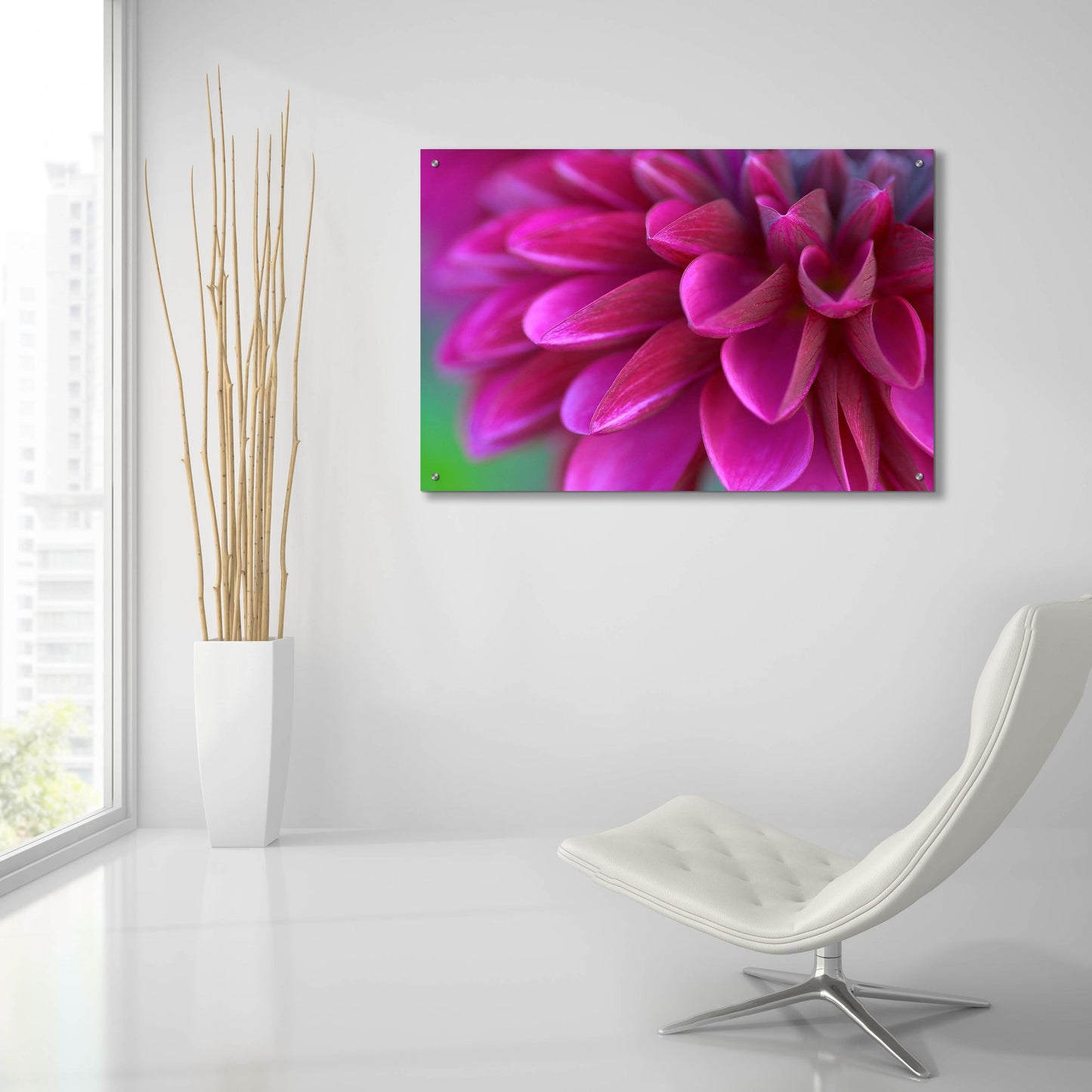 Epic Art 'Pink Chrysanthemum' by Photoinc Studio, Acrylic Glass Wall Art,36x24