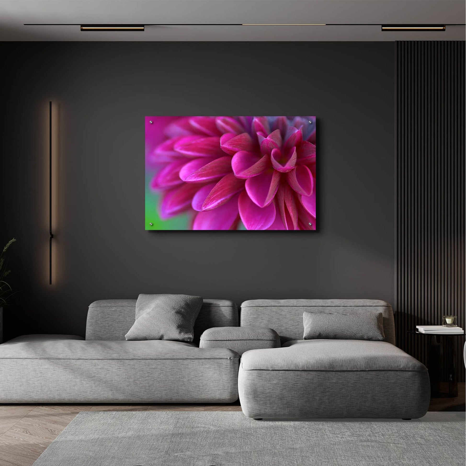 Epic Art 'Pink Chrysanthemum' by Photoinc Studio, Acrylic Glass Wall Art,36x24