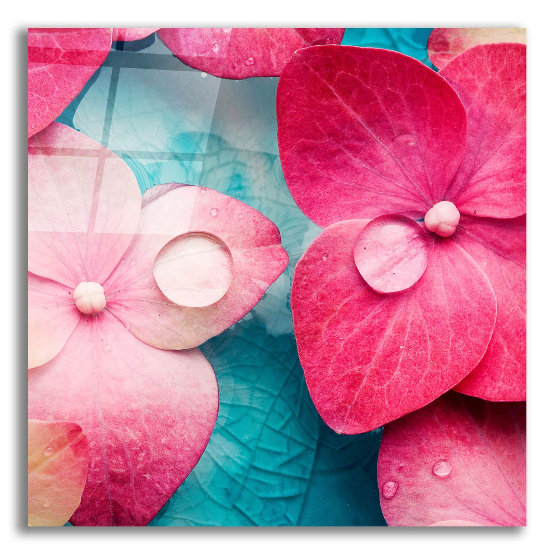 Epic Art 'Pink Flowers 3' by Photoinc Studio, Acrylic Glass Wall Art