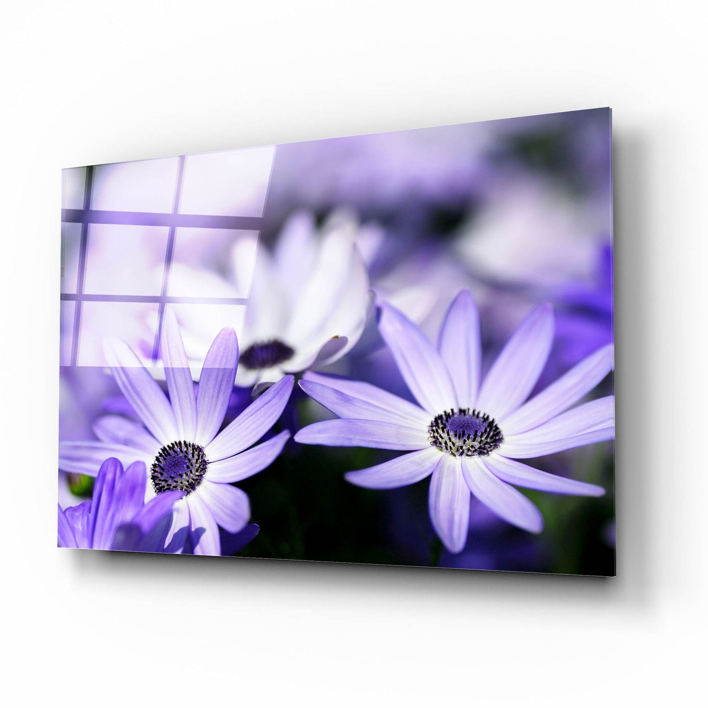 Epic Art 'Purple Flowers 3' by Photoinc Studio, Acrylic Glass Wall Art,16x12