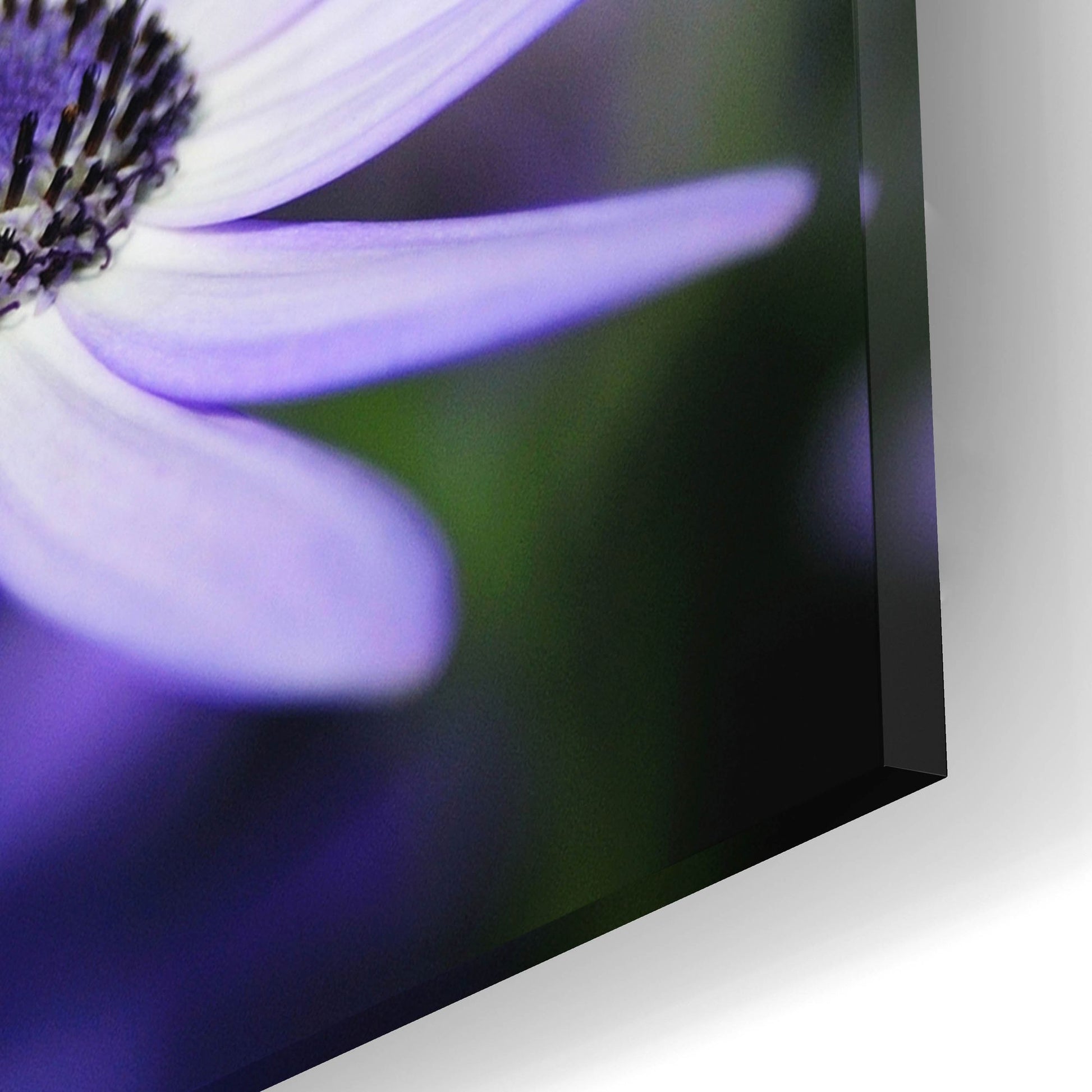 Epic Art 'Purple Flowers 3' by Photoinc Studio, Acrylic Glass Wall Art,16x12