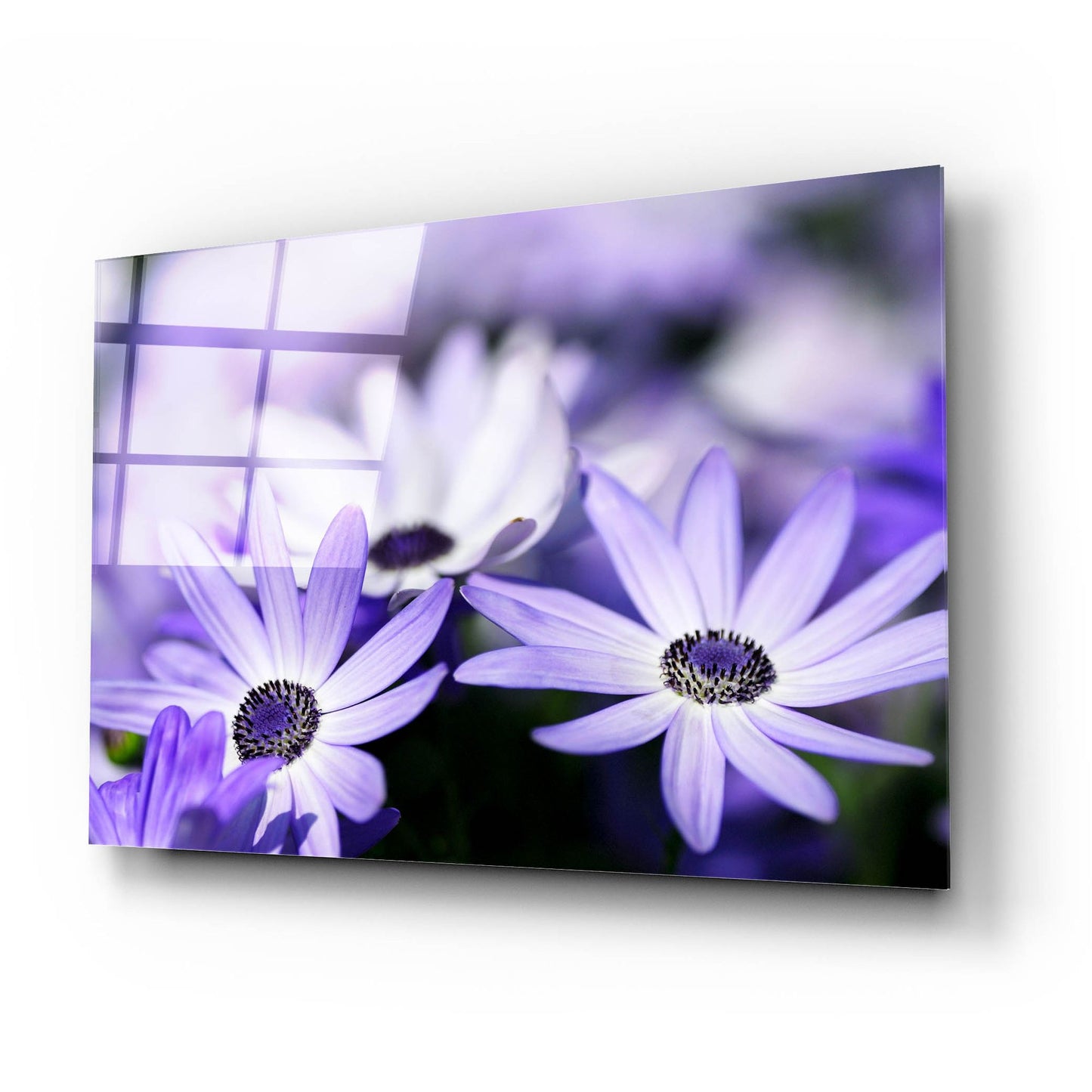 Epic Art 'Purple Flowers 3' by Photoinc Studio, Acrylic Glass Wall Art,24x16