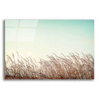 Epic Art 'Retro Grass' by Photoinc Studio, Acrylic Glass Wall Art