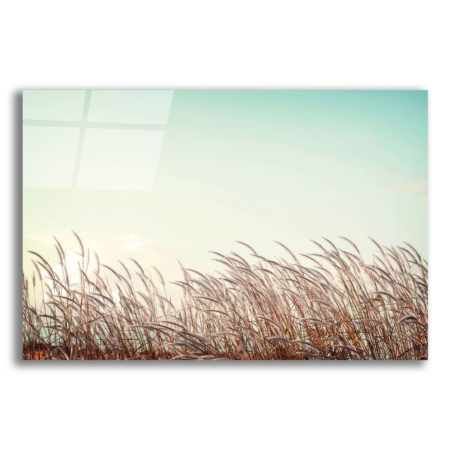 Epic Art 'Retro Grass' by Photoinc Studio, Acrylic Glass Wall Art