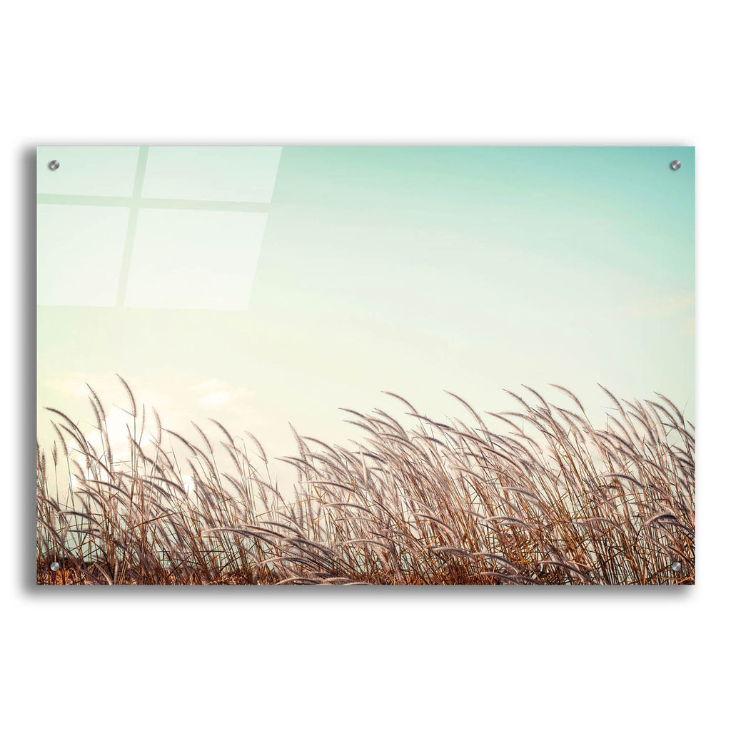 Epic Art 'Retro Grass' by Photoinc Studio, Acrylic Glass Wall Art