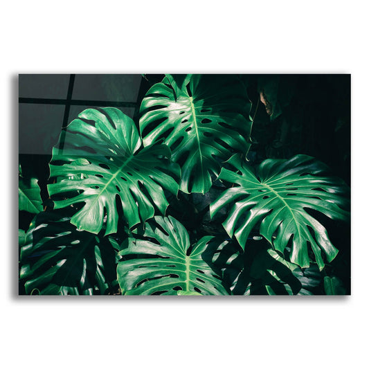 Epic Art 'Tropical' by Photoinc Studio, Acrylic Glass Wall Art