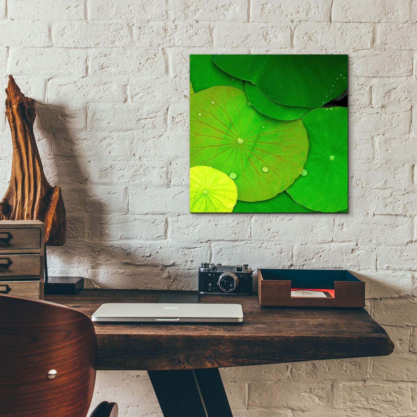 Epic Art 'Water Lily' by Photoinc Studio, Acrylic Glass Wall Art,12x12