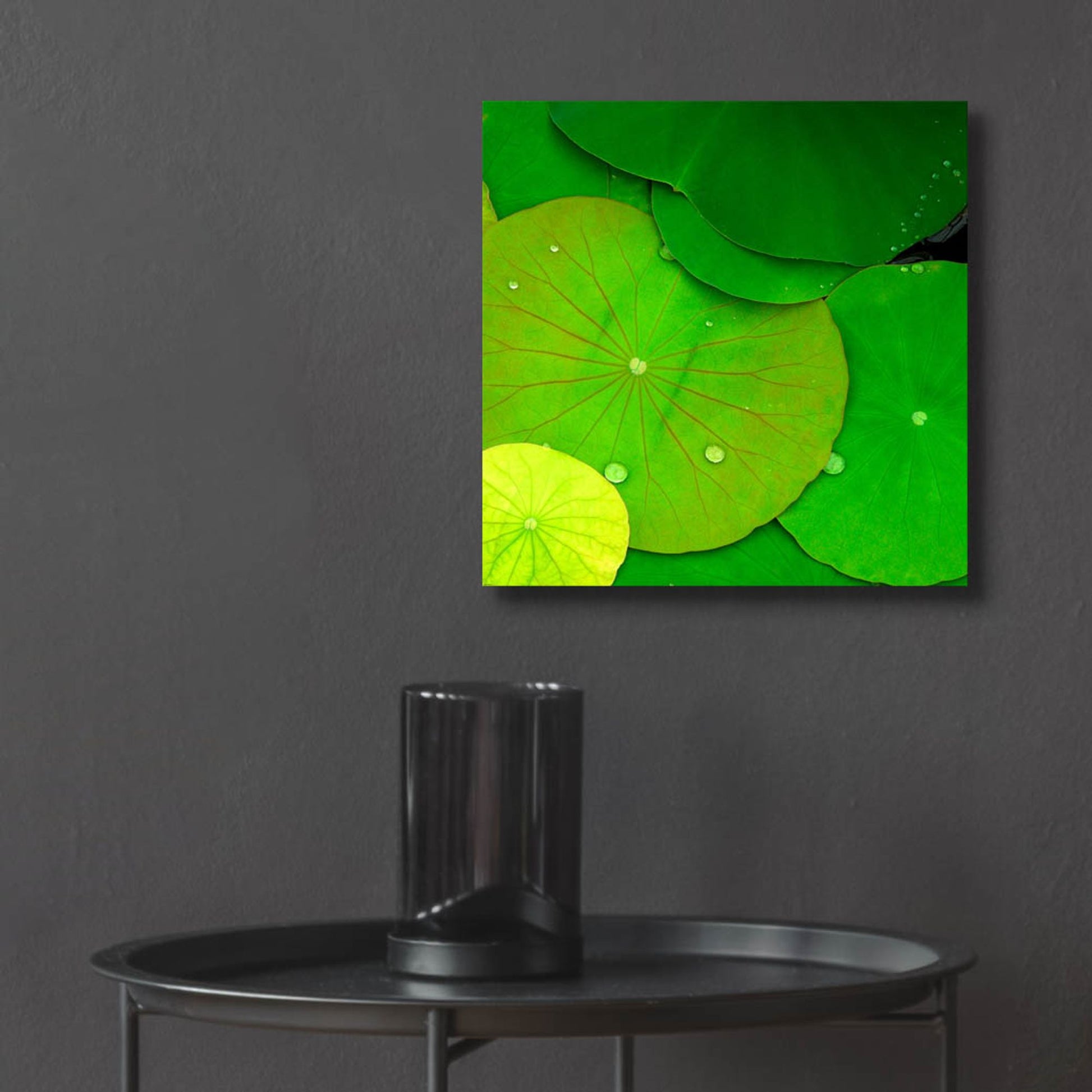 Epic Art 'Water Lily' by Photoinc Studio, Acrylic Glass Wall Art,12x12