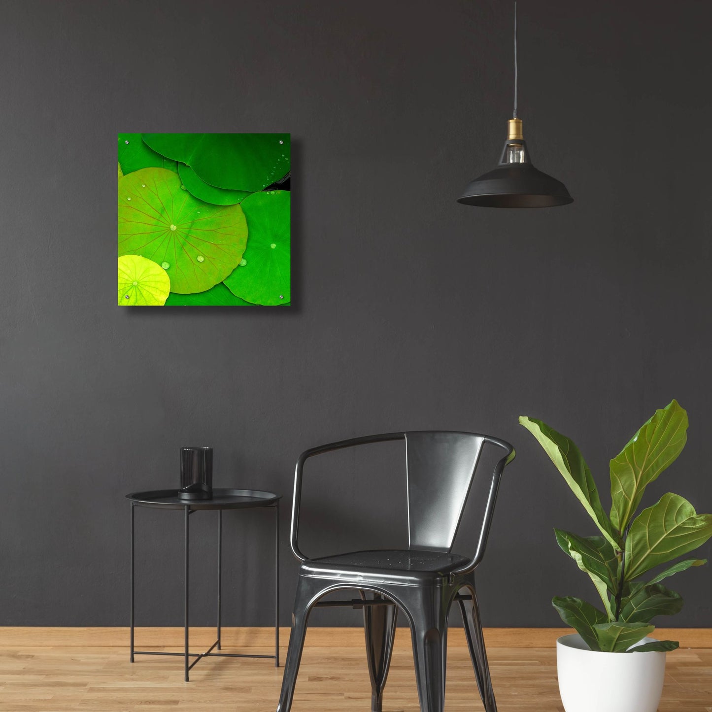 Epic Art 'Water Lily' by Photoinc Studio, Acrylic Glass Wall Art,24x24