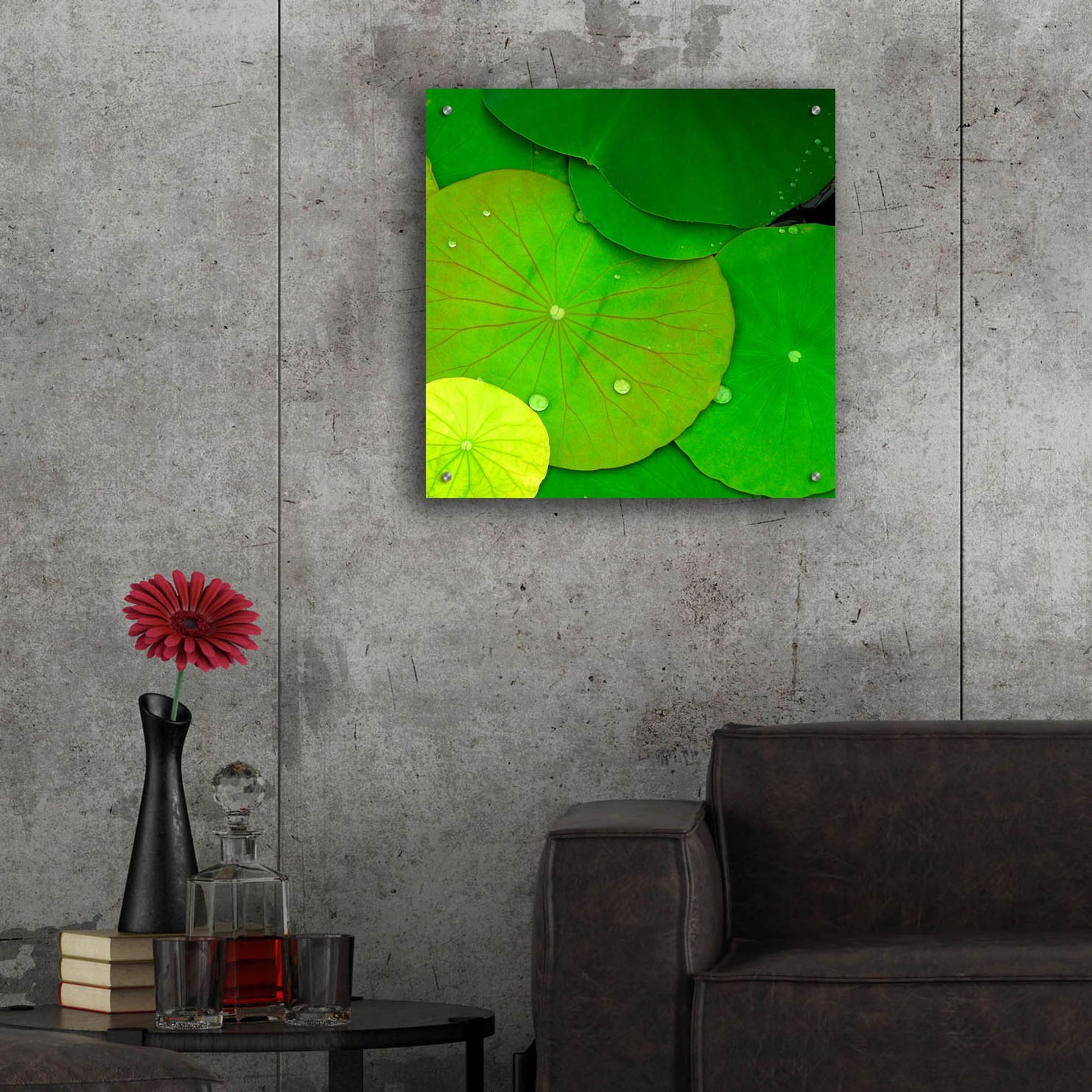 Epic Art 'Water Lily' by Photoinc Studio, Acrylic Glass Wall Art,24x24