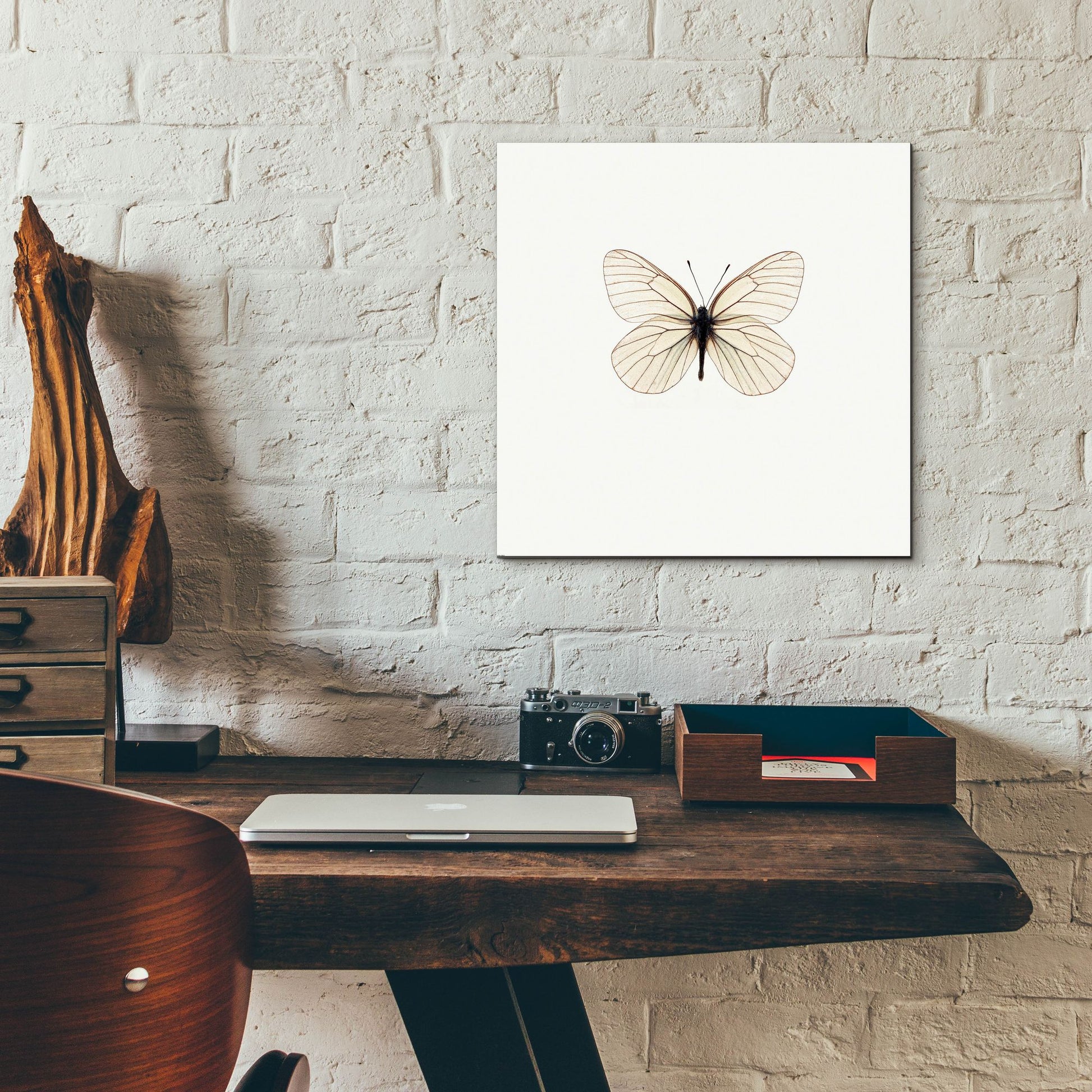 Epic Art 'White Butterfly' by Photoinc Studio, Acrylic Glass Wall Art,12x12