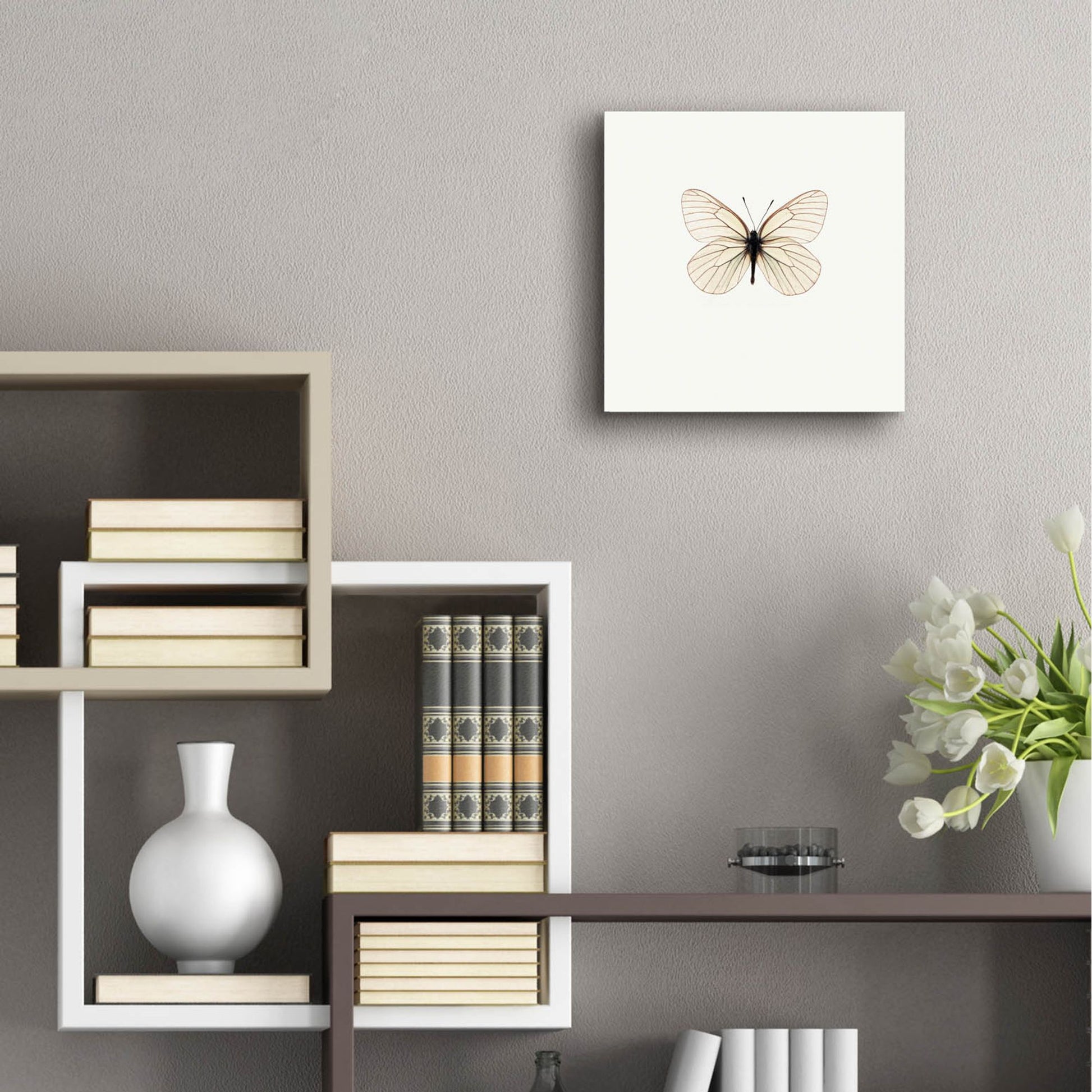 Epic Art 'White Butterfly' by Photoinc Studio, Acrylic Glass Wall Art,12x12