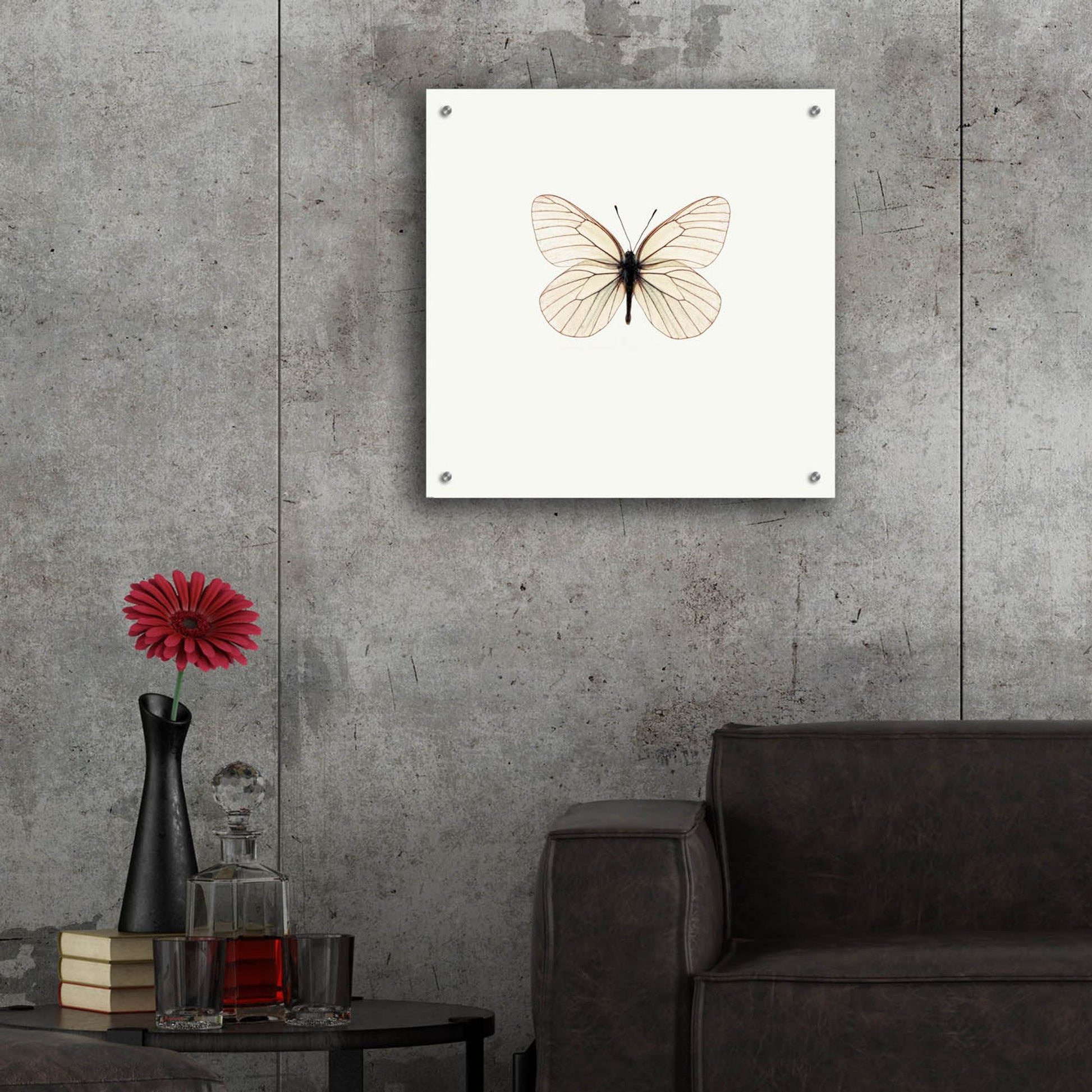 Epic Art 'White Butterfly' by Photoinc Studio, Acrylic Glass Wall Art,24x24