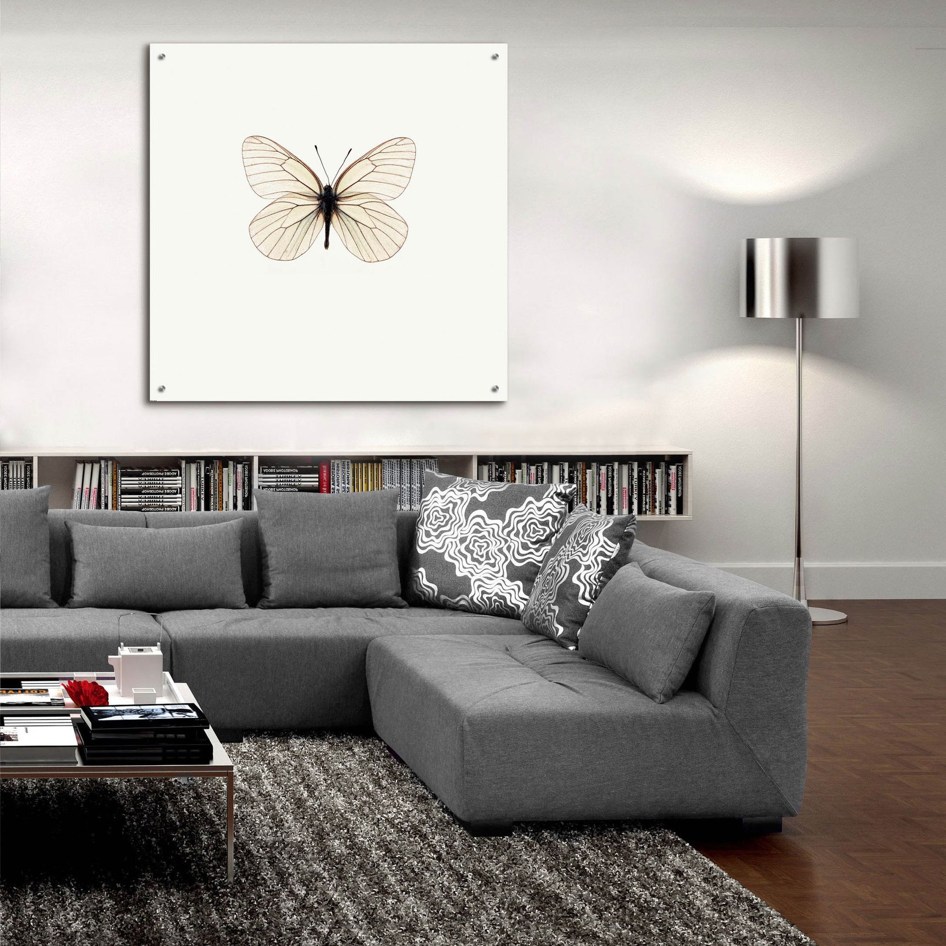 Epic Art 'White Butterfly' by Photoinc Studio, Acrylic Glass Wall Art,36x36