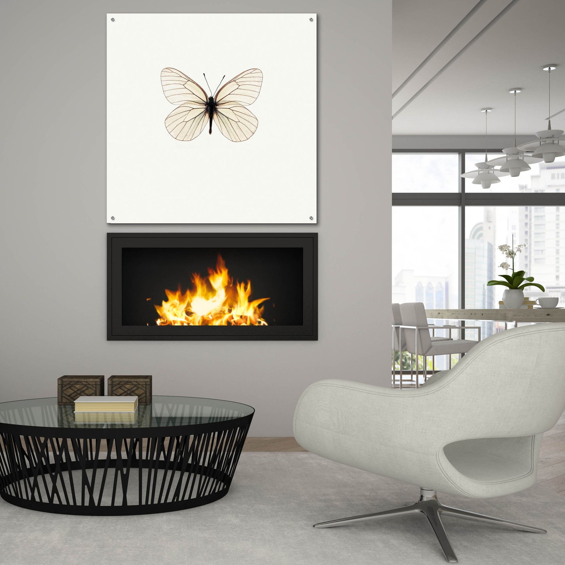 Epic Art 'White Butterfly' by Photoinc Studio, Acrylic Glass Wall Art,36x36