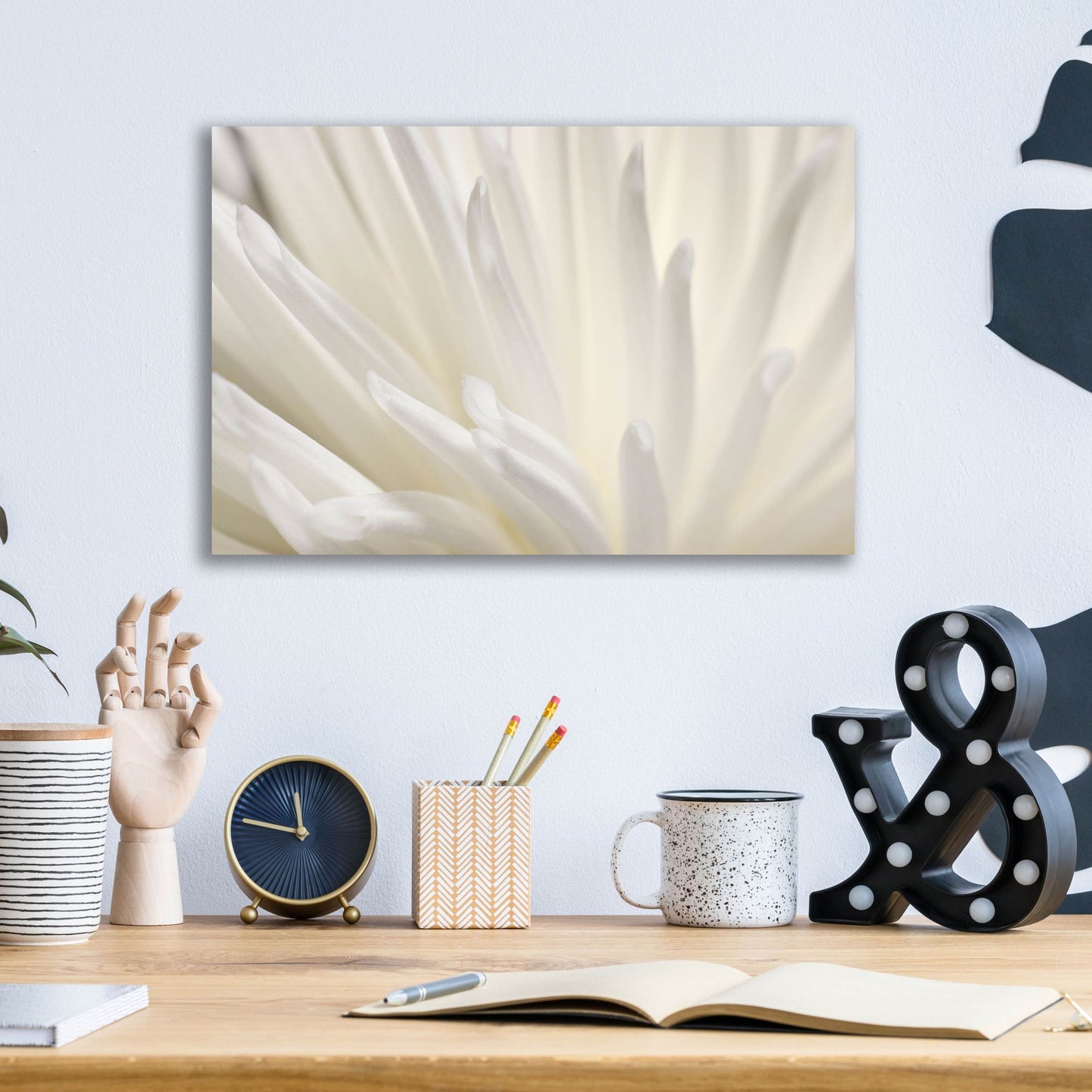 Epic Art 'White Flower' by Photoinc Studio, Acrylic Glass Wall Art,16x12