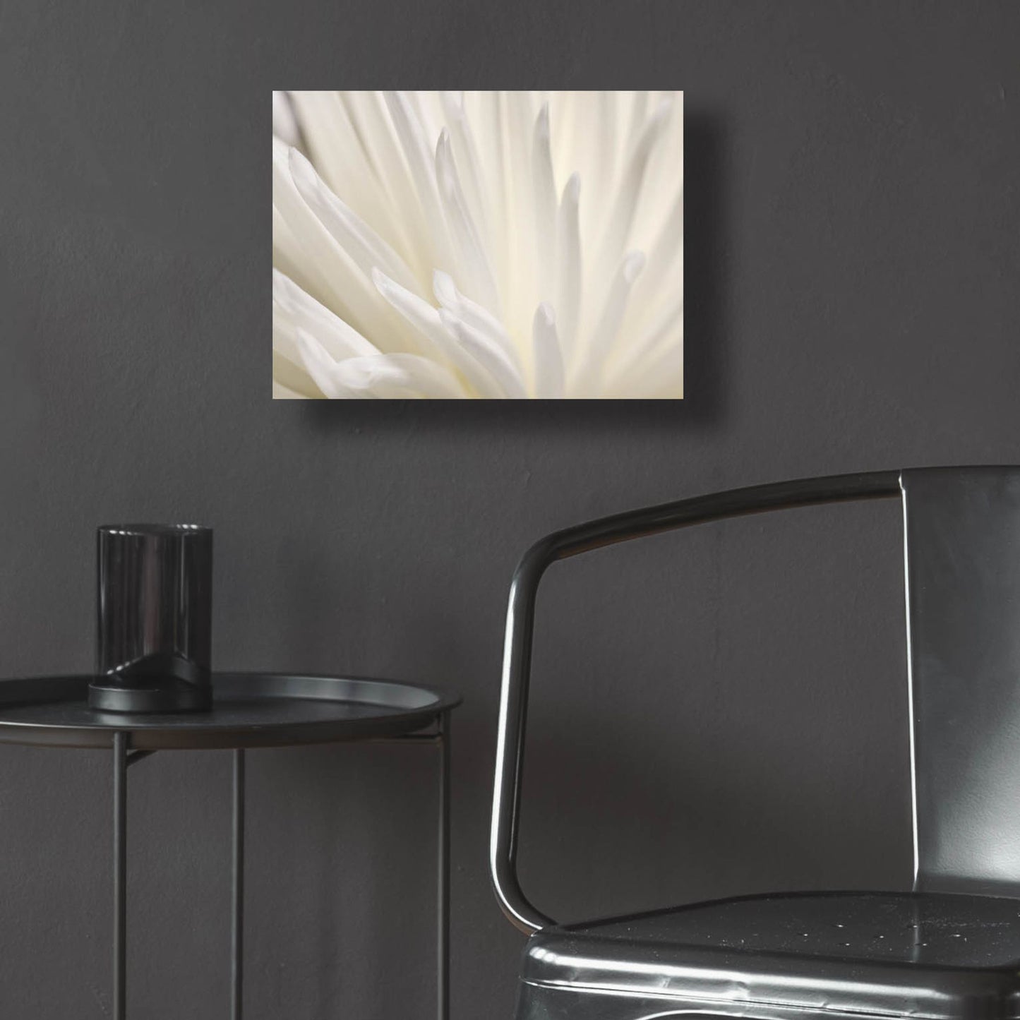 Epic Art 'White Flower' by Photoinc Studio, Acrylic Glass Wall Art,16x12