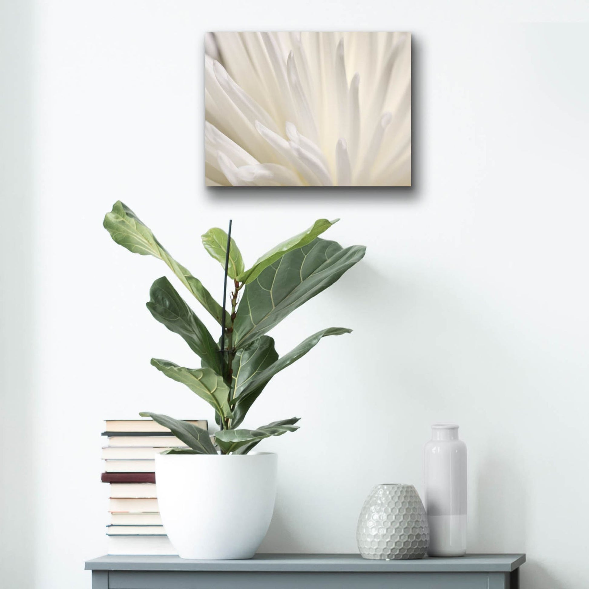 Epic Art 'White Flower' by Photoinc Studio, Acrylic Glass Wall Art,16x12