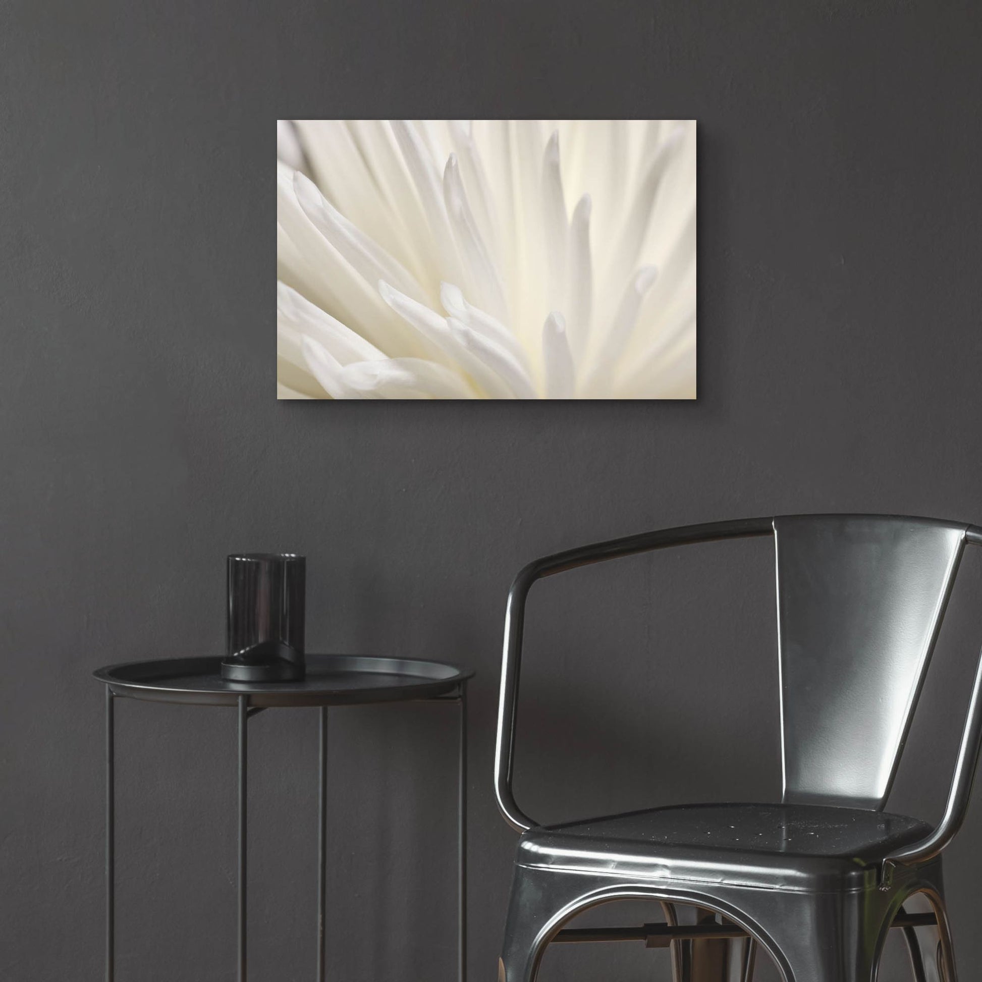 Epic Art 'White Flower' by Photoinc Studio, Acrylic Glass Wall Art,24x16