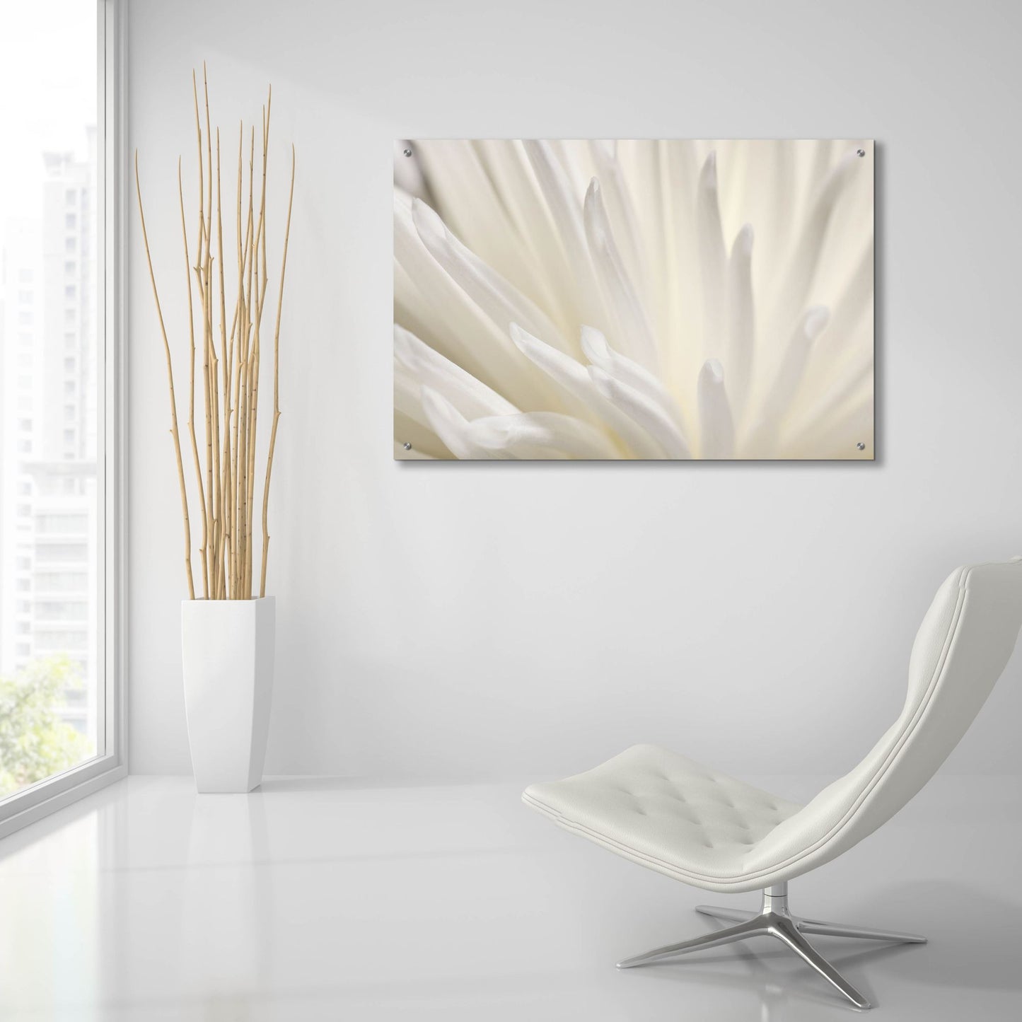 Epic Art 'White Flower' by Photoinc Studio, Acrylic Glass Wall Art,36x24